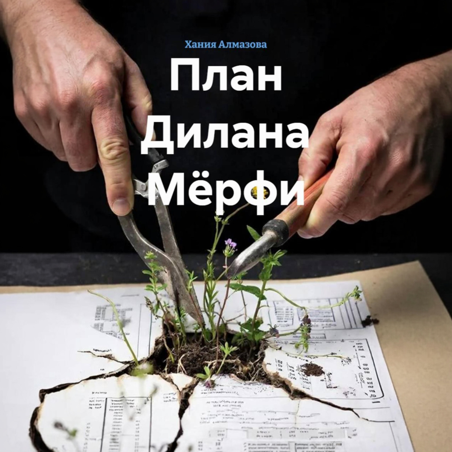 Обложка книги «План Дилана Мёрфи»