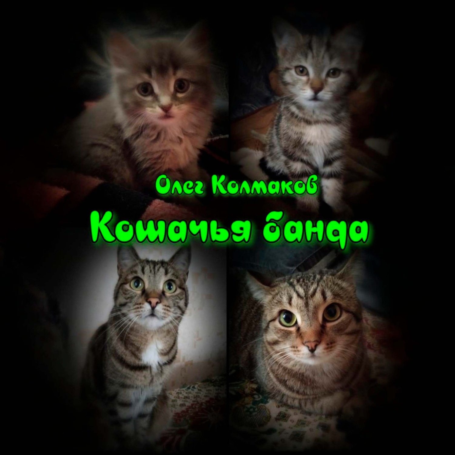 Обложка книги «Кошачья банда»