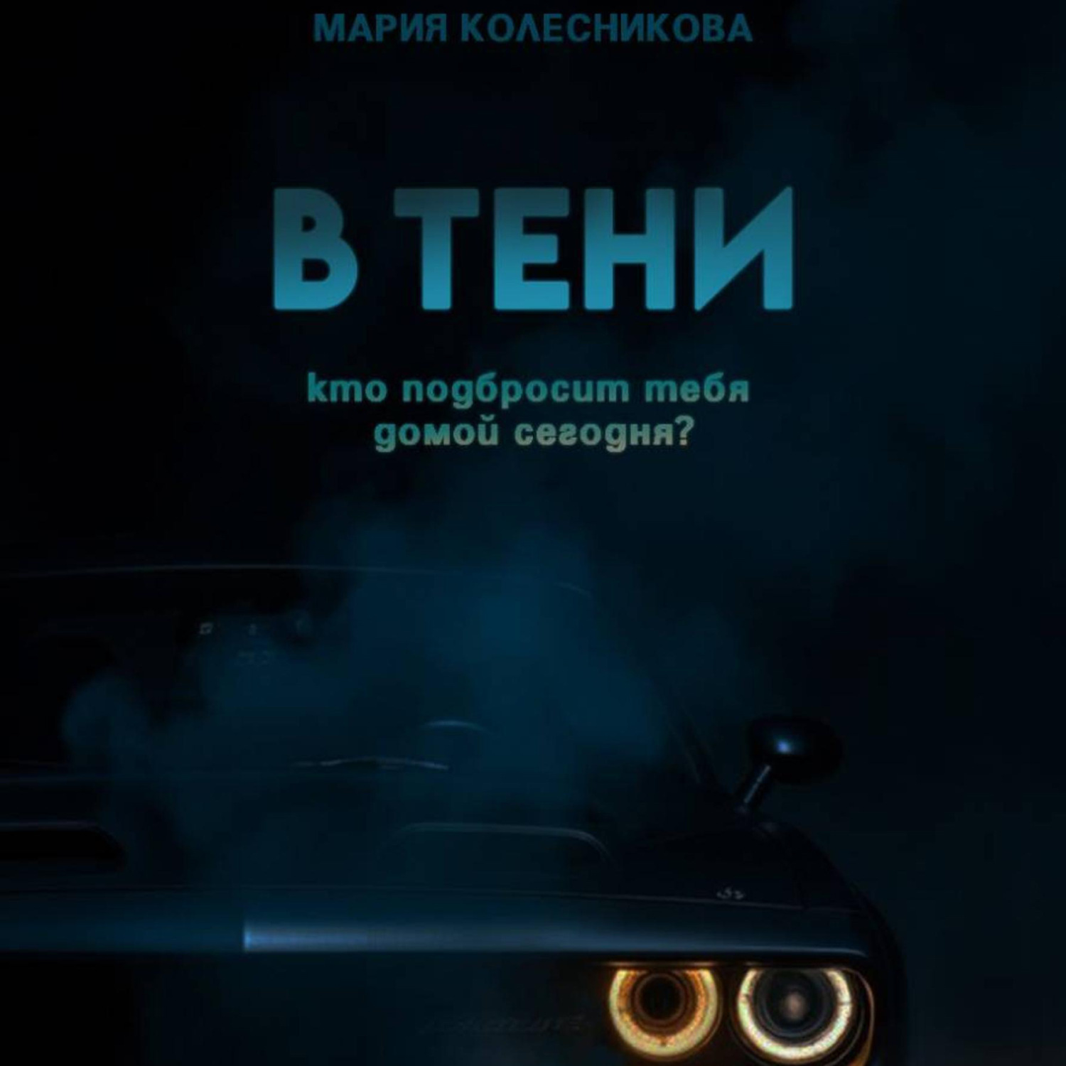 Обложка книги «В тени»
