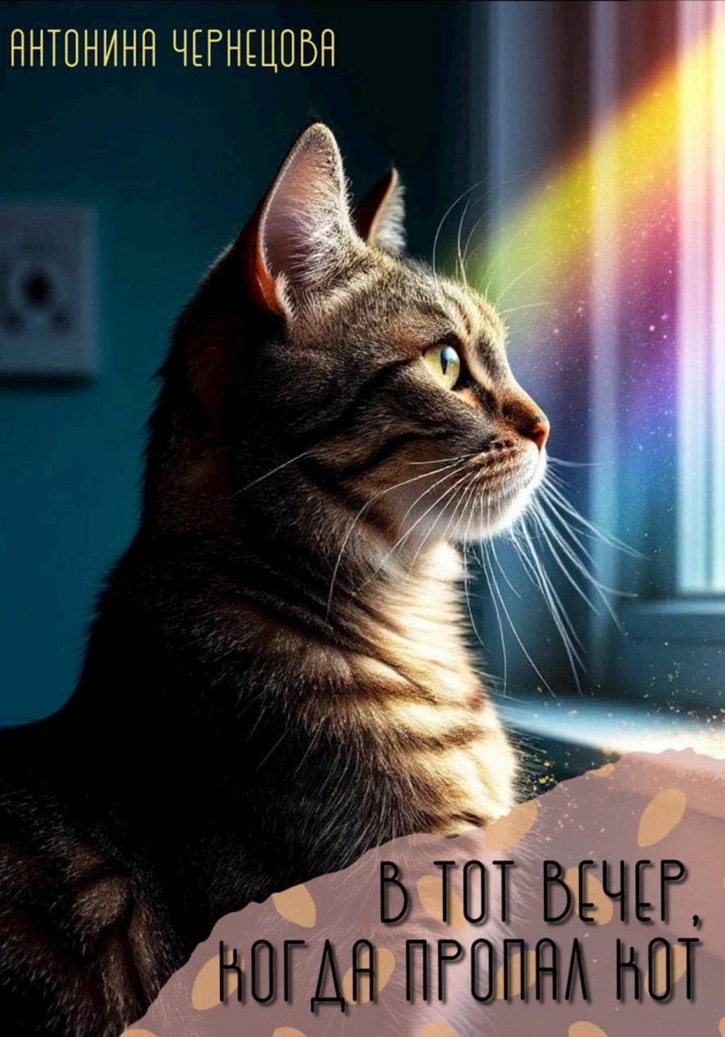 Обложка книги «В тот вечер, когда пропал кот»