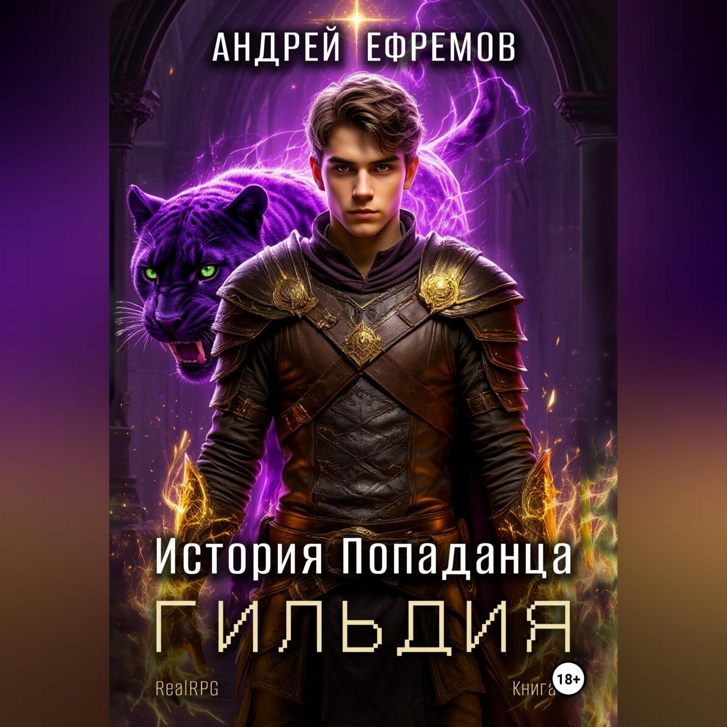 Обложка книги «История Попаданца-2. Гильдия»