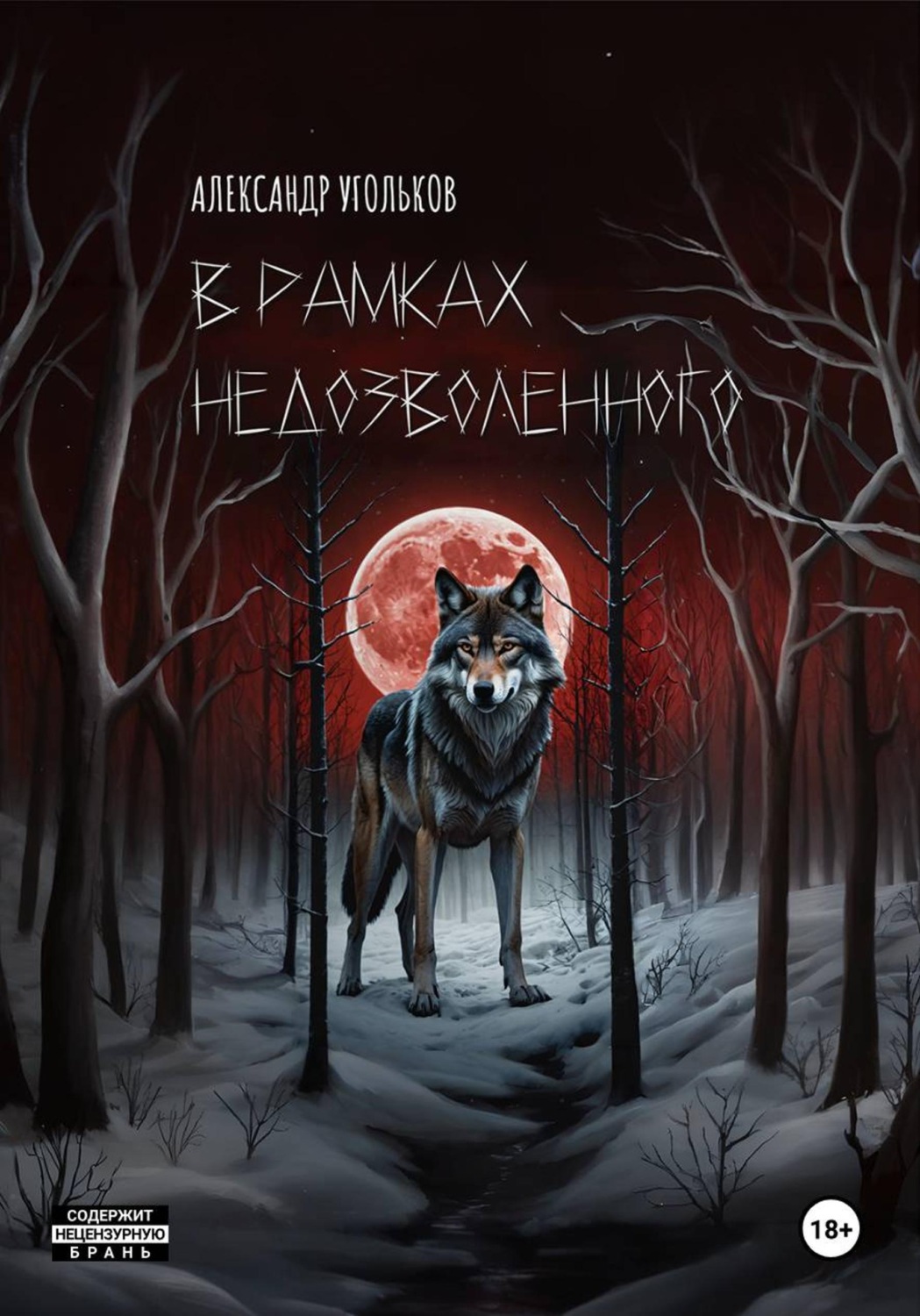 Обложка книги «В рамках недозволенного»