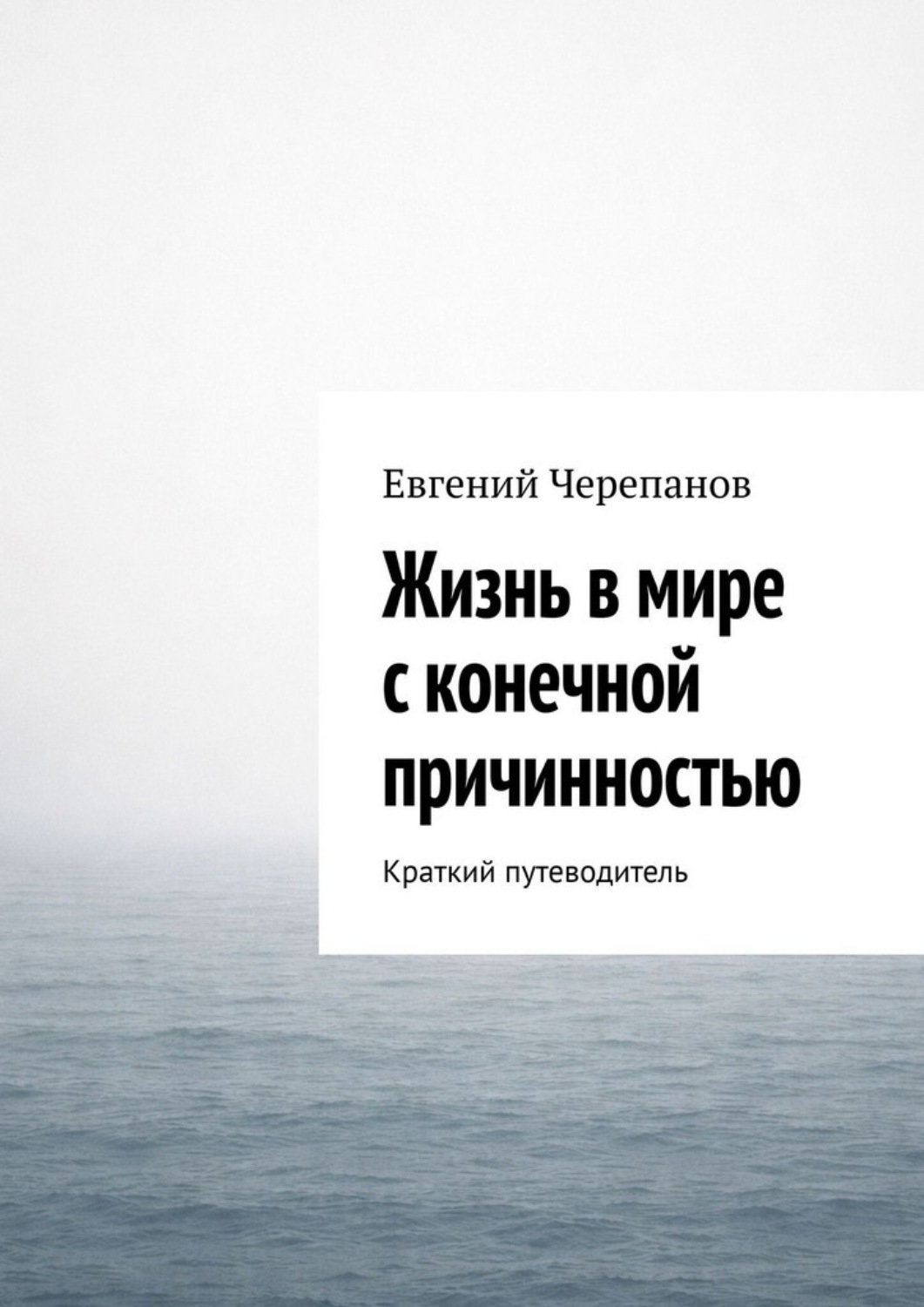 Обложка книги «Жизнь в мире с конечной причинностью. Краткий путеводитель»