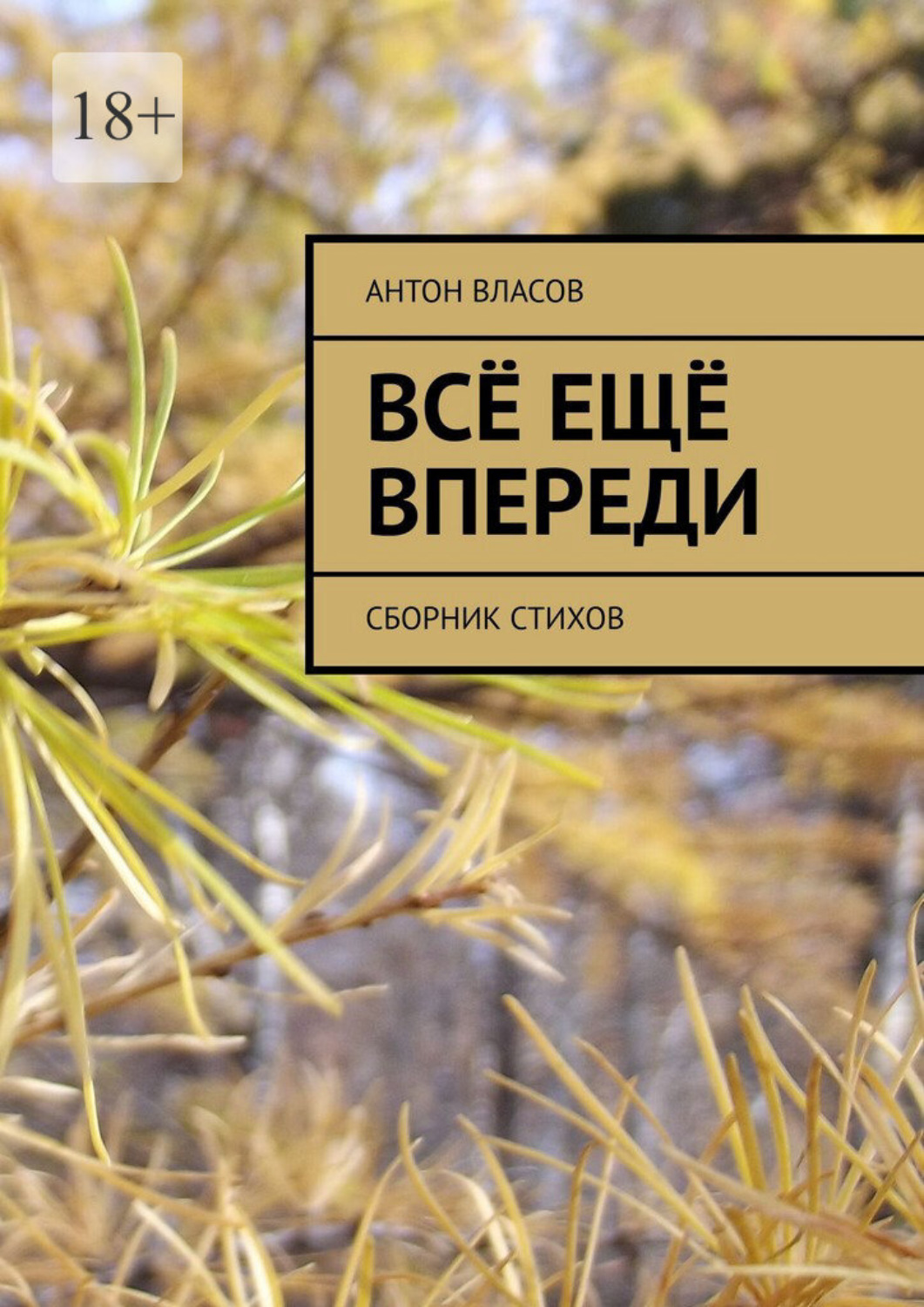 Обложка книги «Всё ещё впереди. Сборник стихов»