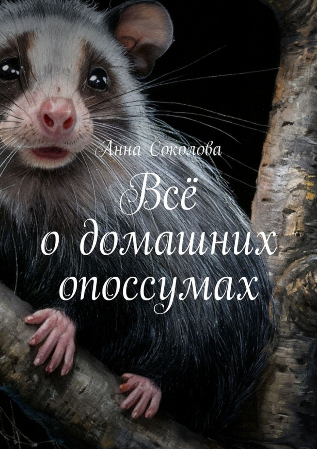 Обложка книги «Всё о домашних опоссумах»