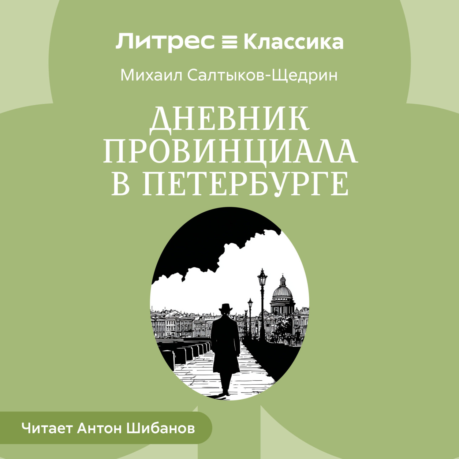 Обложка книги «Дневник провинциала в Петербурге»
