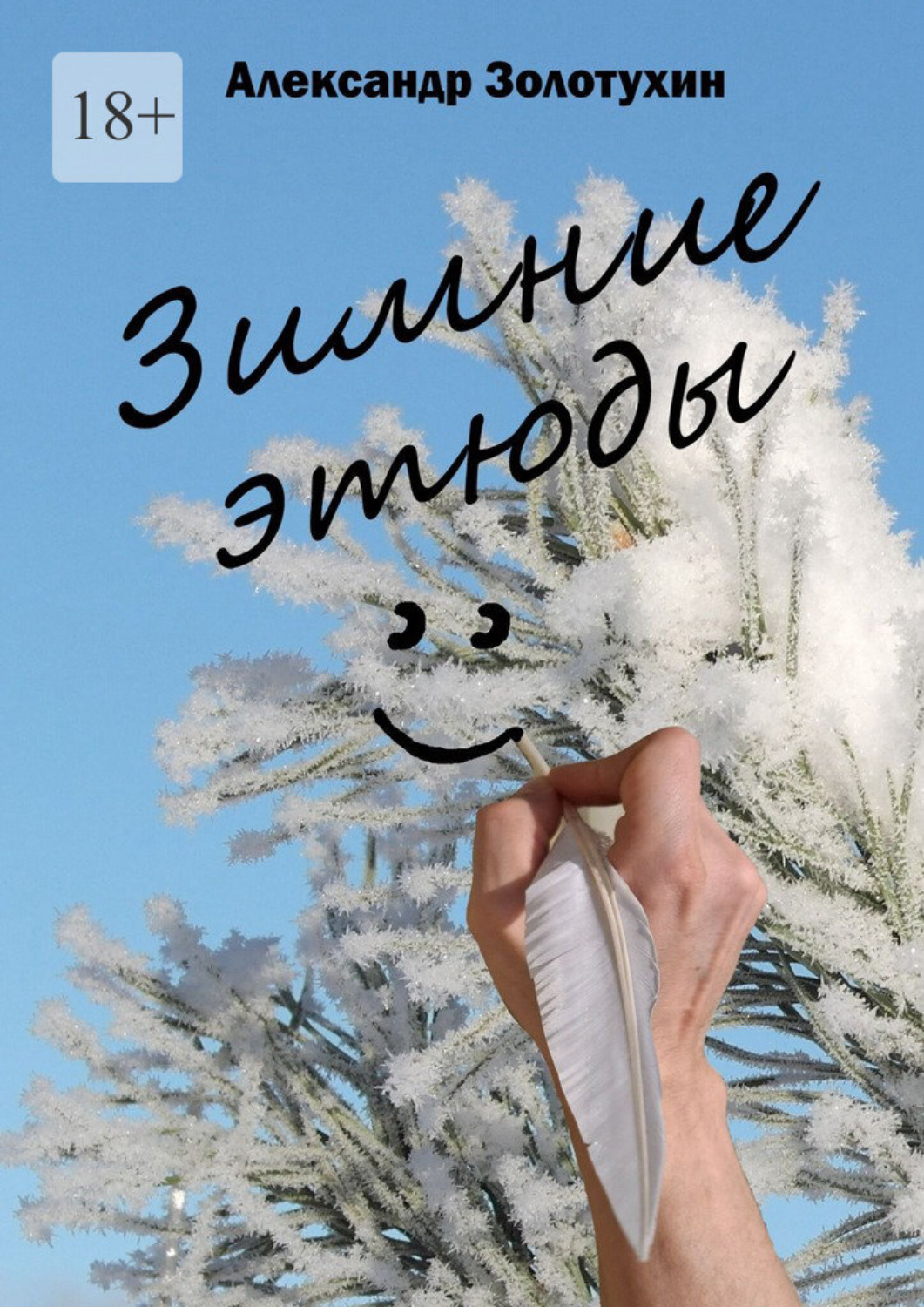 Обложка книги «Зимние этюды»