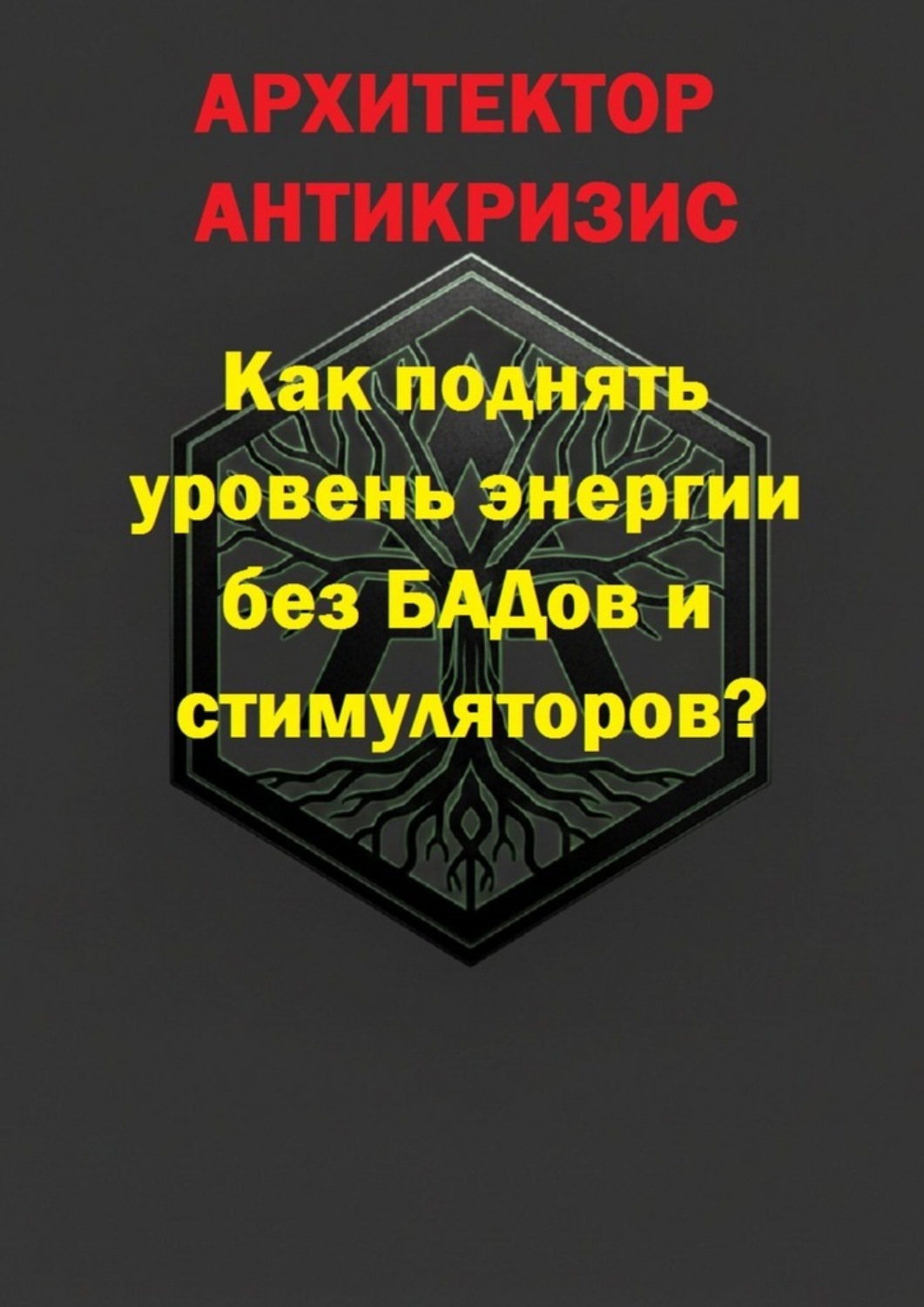 Обложка книги «Как поднять уровень энергии без БАДов и стимуляторов?»