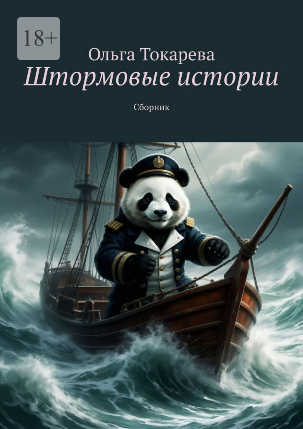 Обложка книги «Штормовые истории. Сборник»