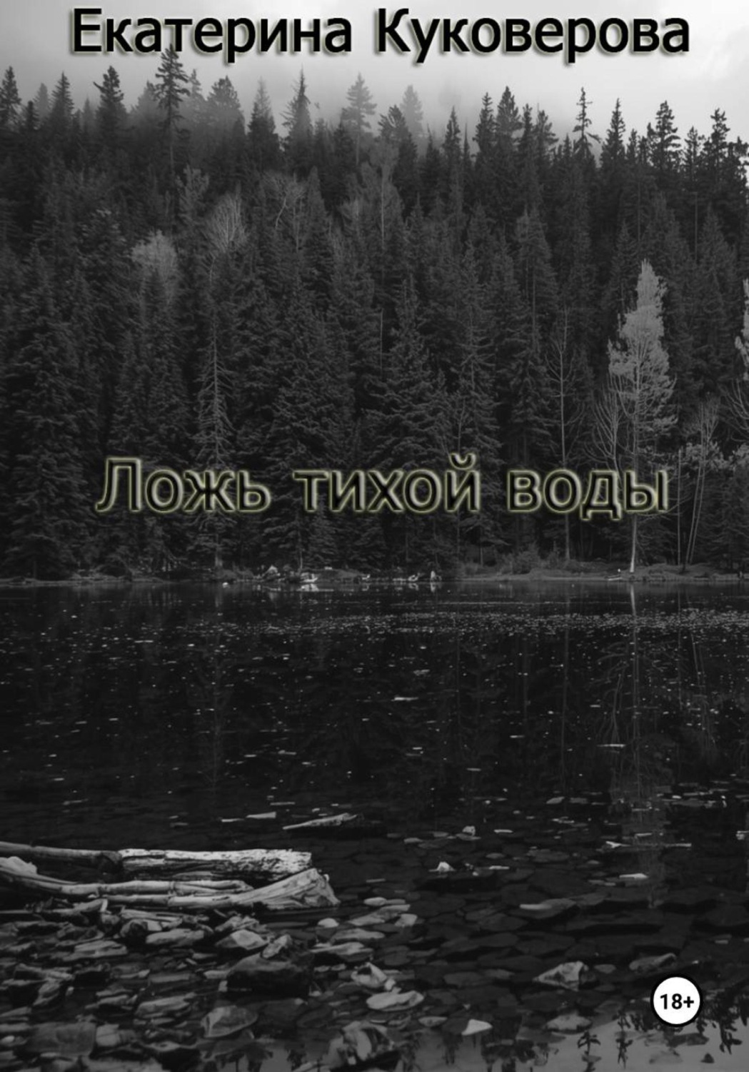 Обложка книги «Ложь тихой воды»