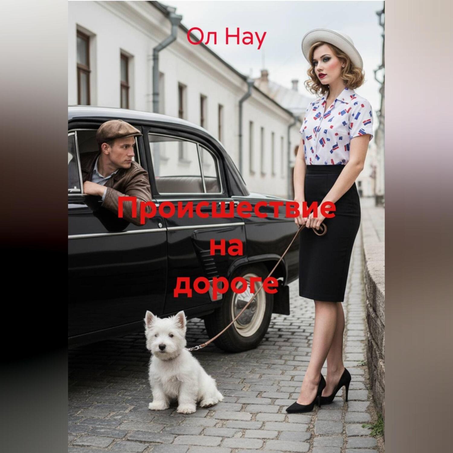 Обложка книги «Происшествие на дороге»