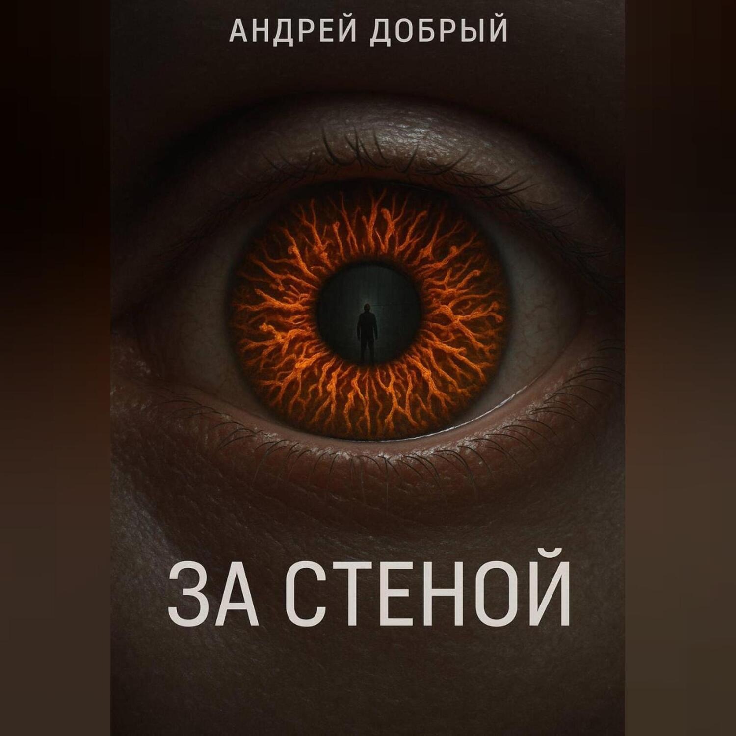 Обложка книги «За Стеной»