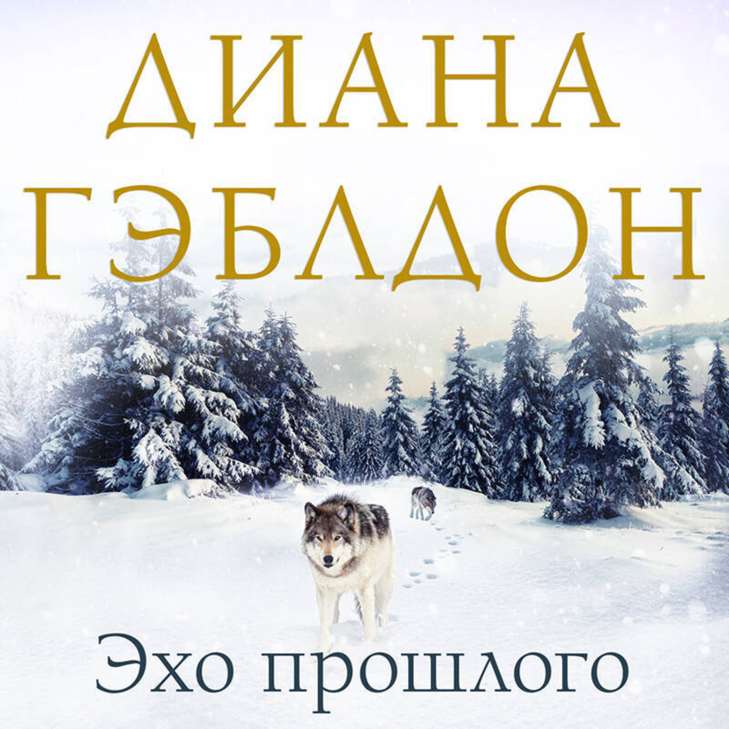 Обложка книги «Эхо прошлого»