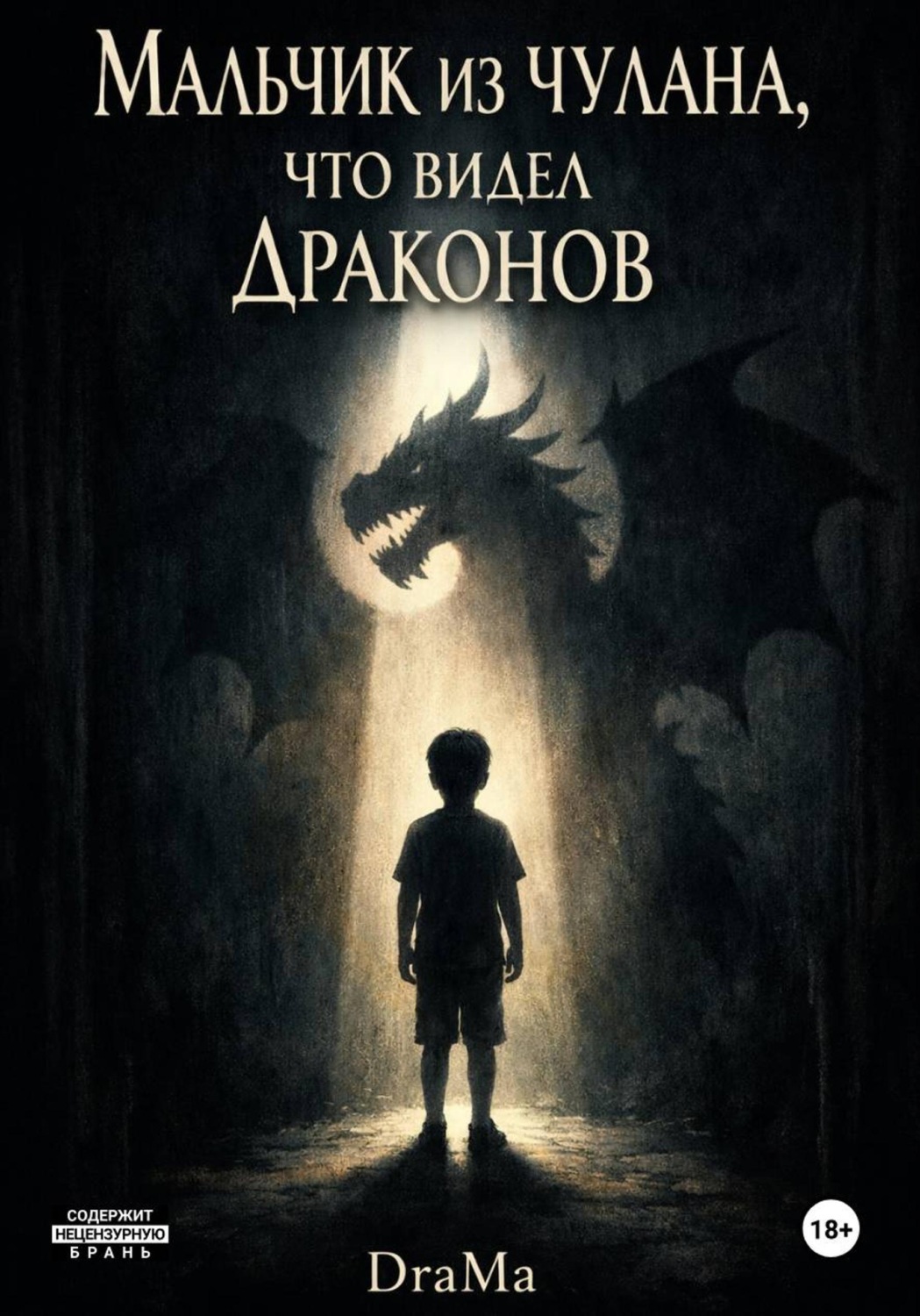 Обложка книги «Мальчик из чулана, что видел драконов»