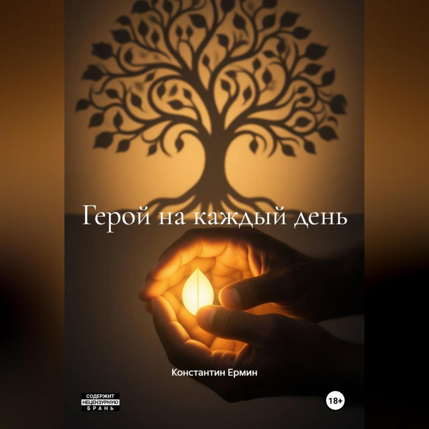 Обложка книги «Герой на каждый день»