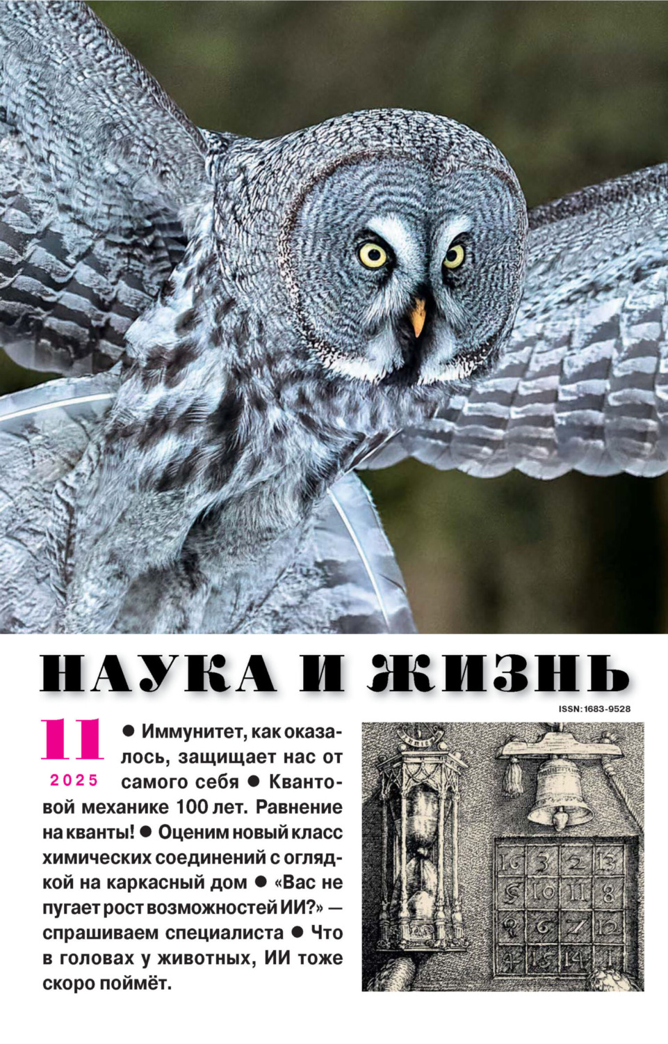 Обложка книги «Наука и жизнь №11/2025»