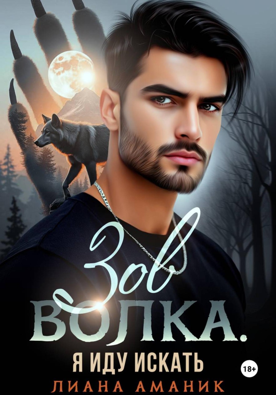 Обложка книги «Зов Волка. Я иду искать»