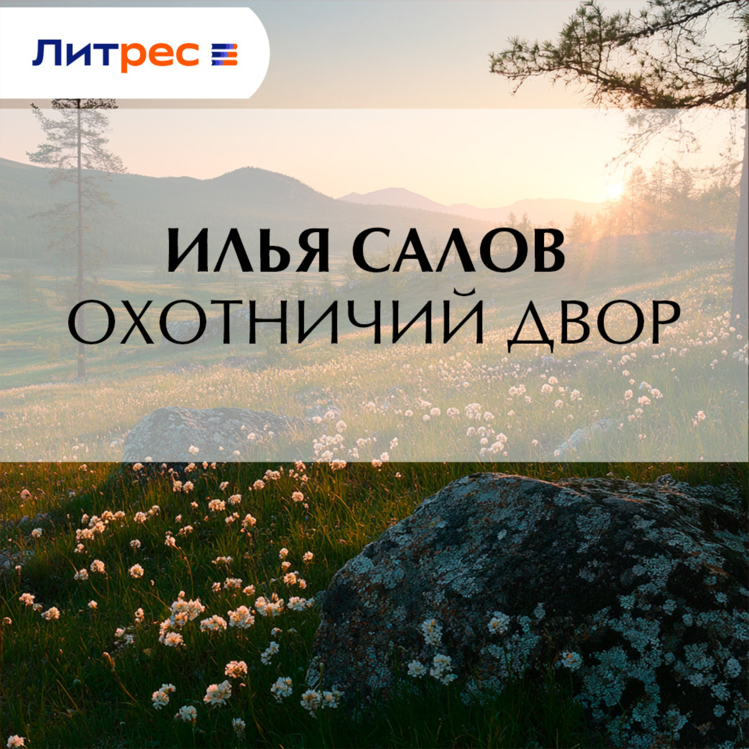 Обложка книги «Охотничий двор»