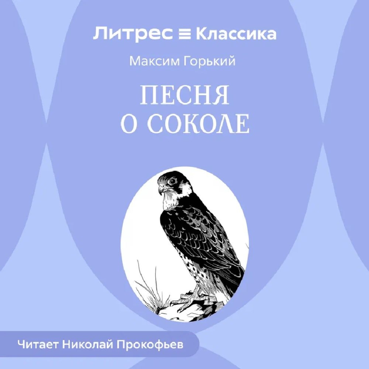 Обложка книги «Песня о Соколе»