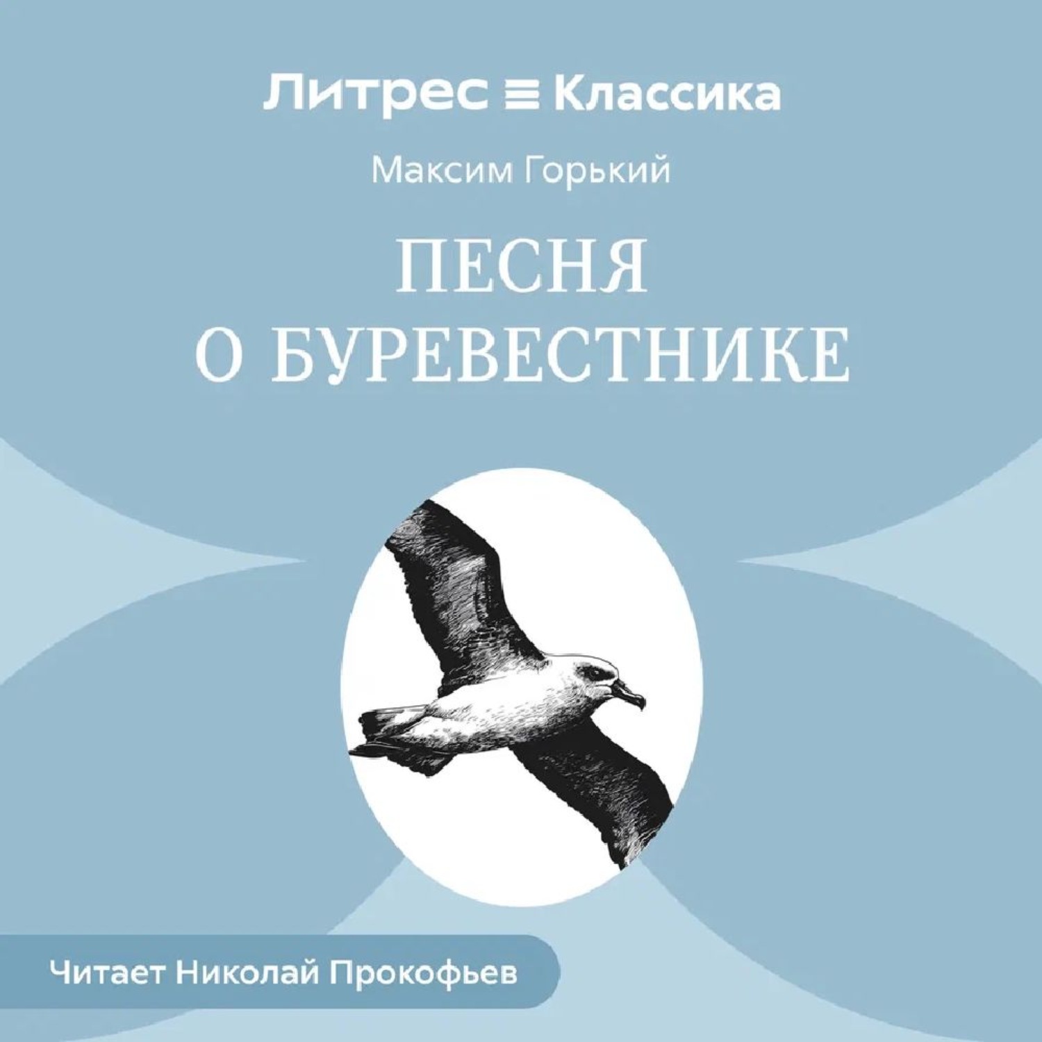 Обложка книги «Песня о буревестнике»