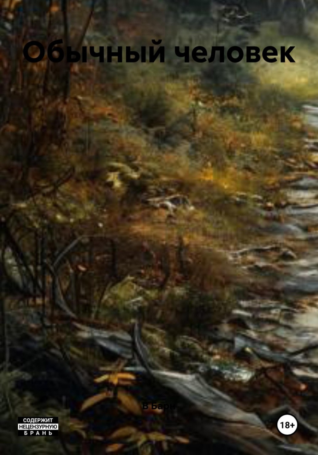 Обложка книги «Обычный человек»