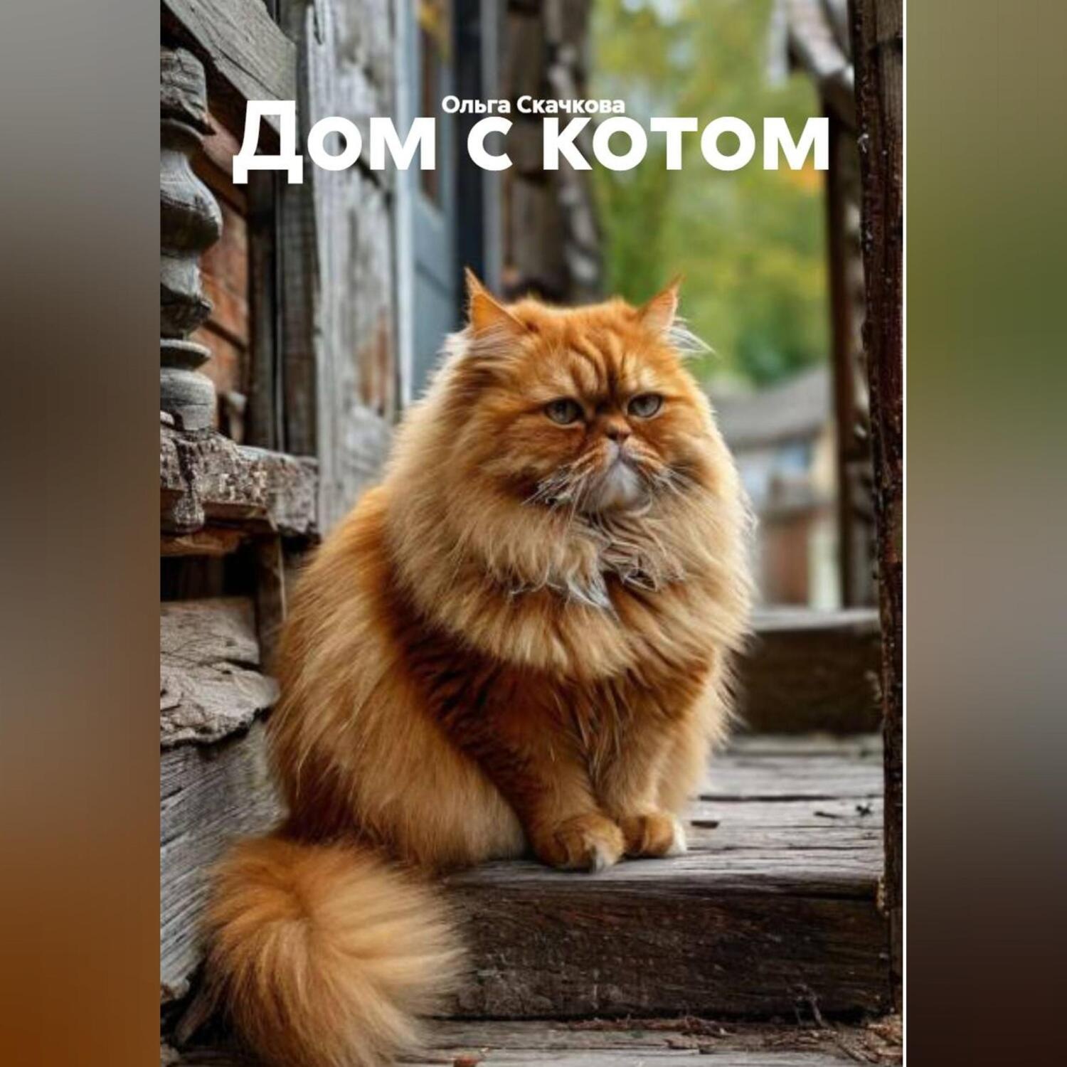 Обложка книги «Дом с котом»