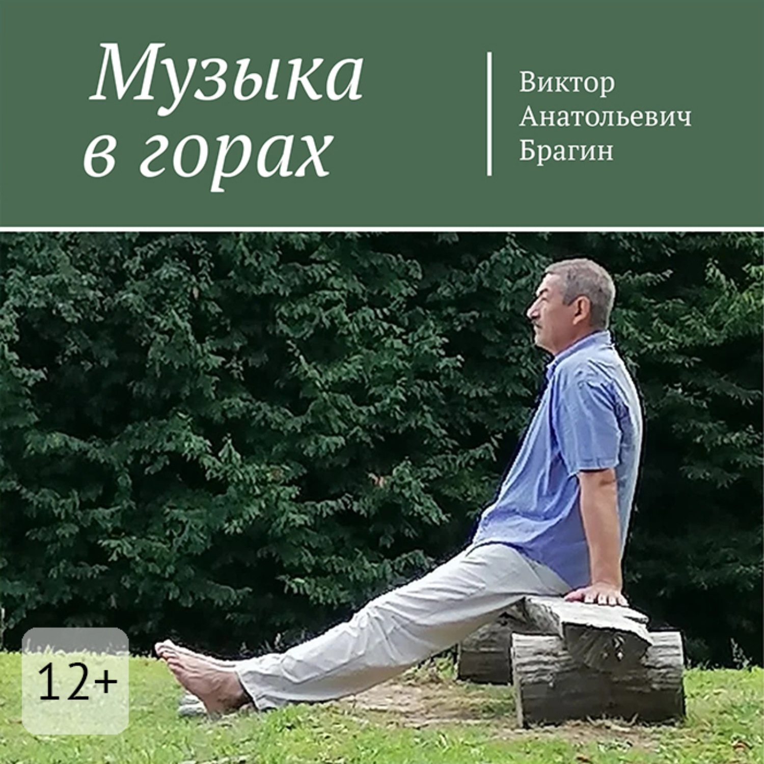 Обложка книги «Музыка в горах»