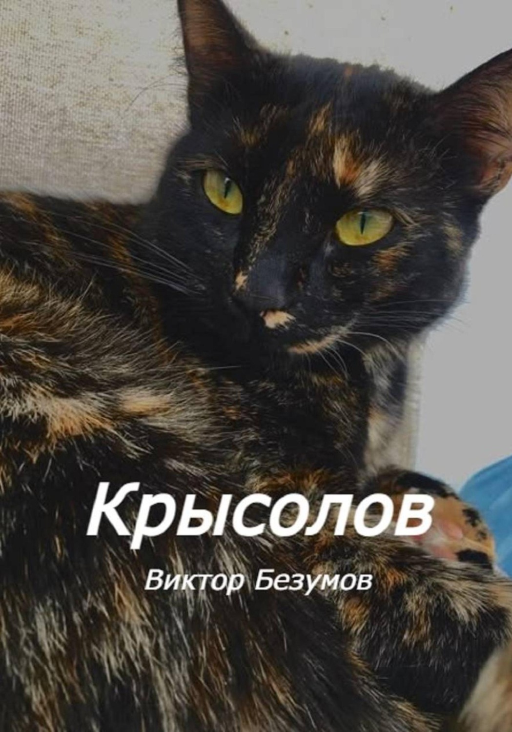 Обложка книги «Крысолов»