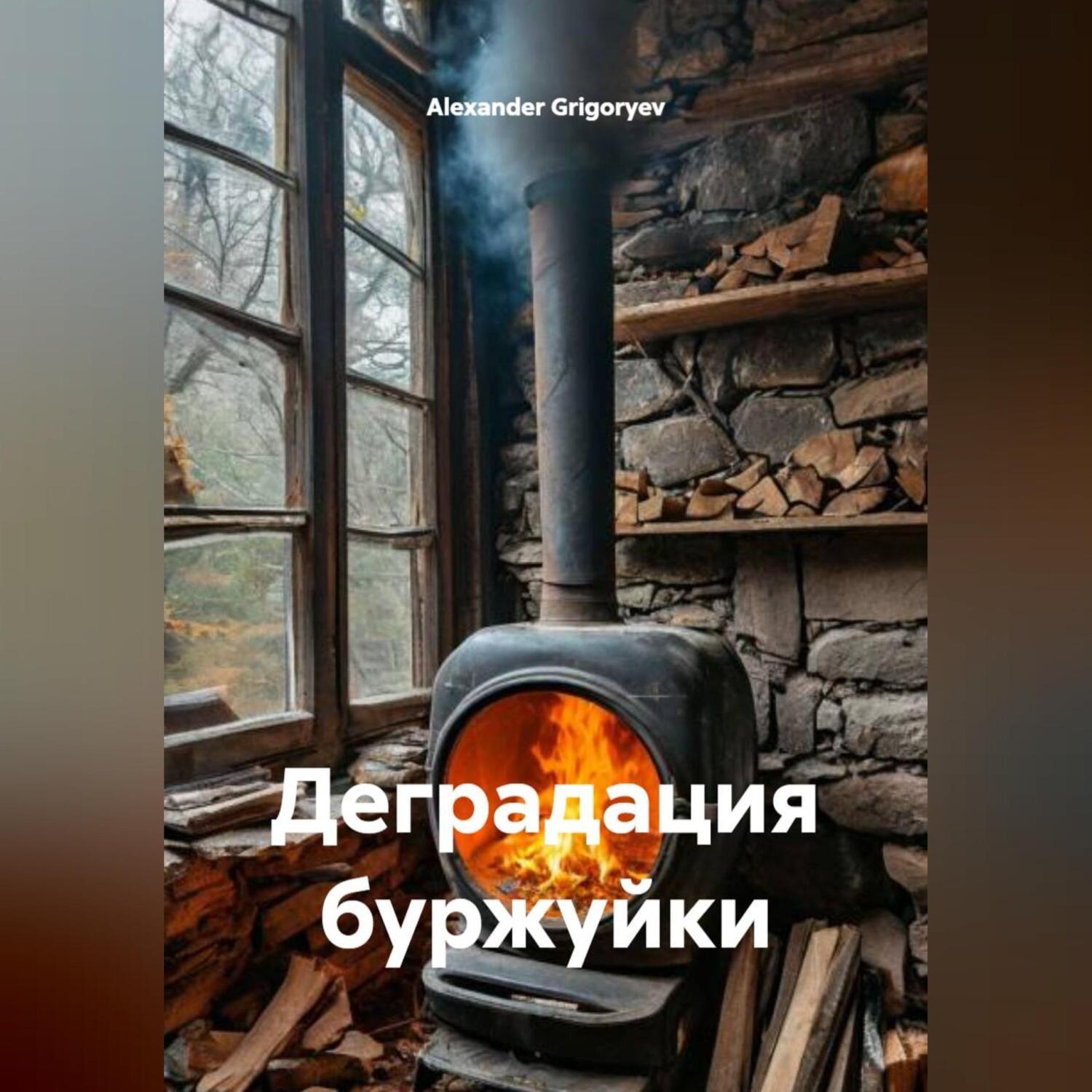 Обложка книги «Деградация буржуйки»