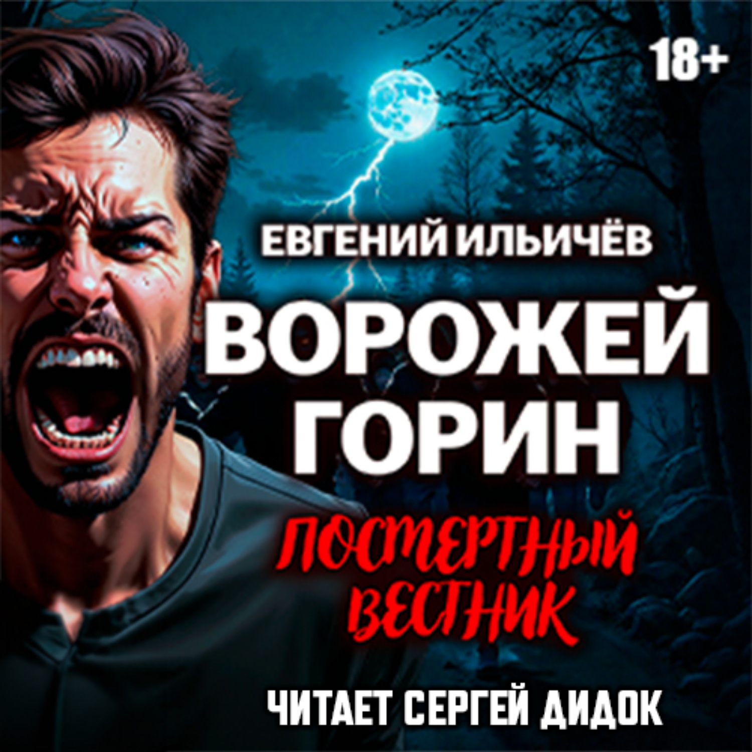 Обложка книги «Ворожей Горин. Посмертный вестник»
