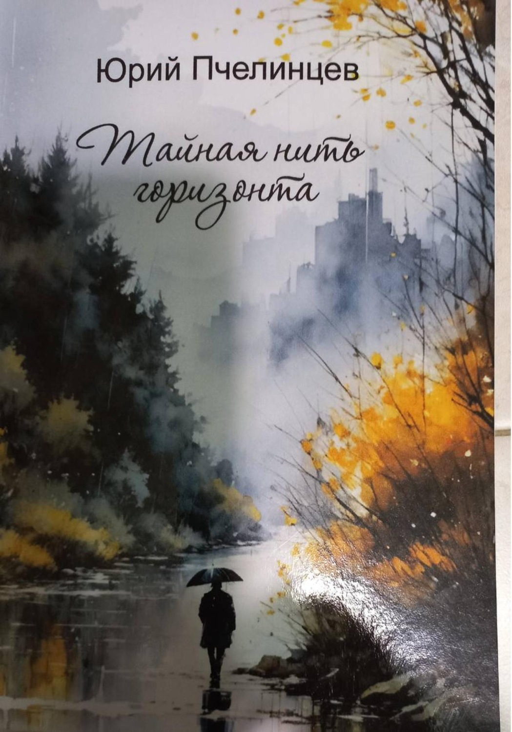 Обложка книги «Тайная нить горизонта»