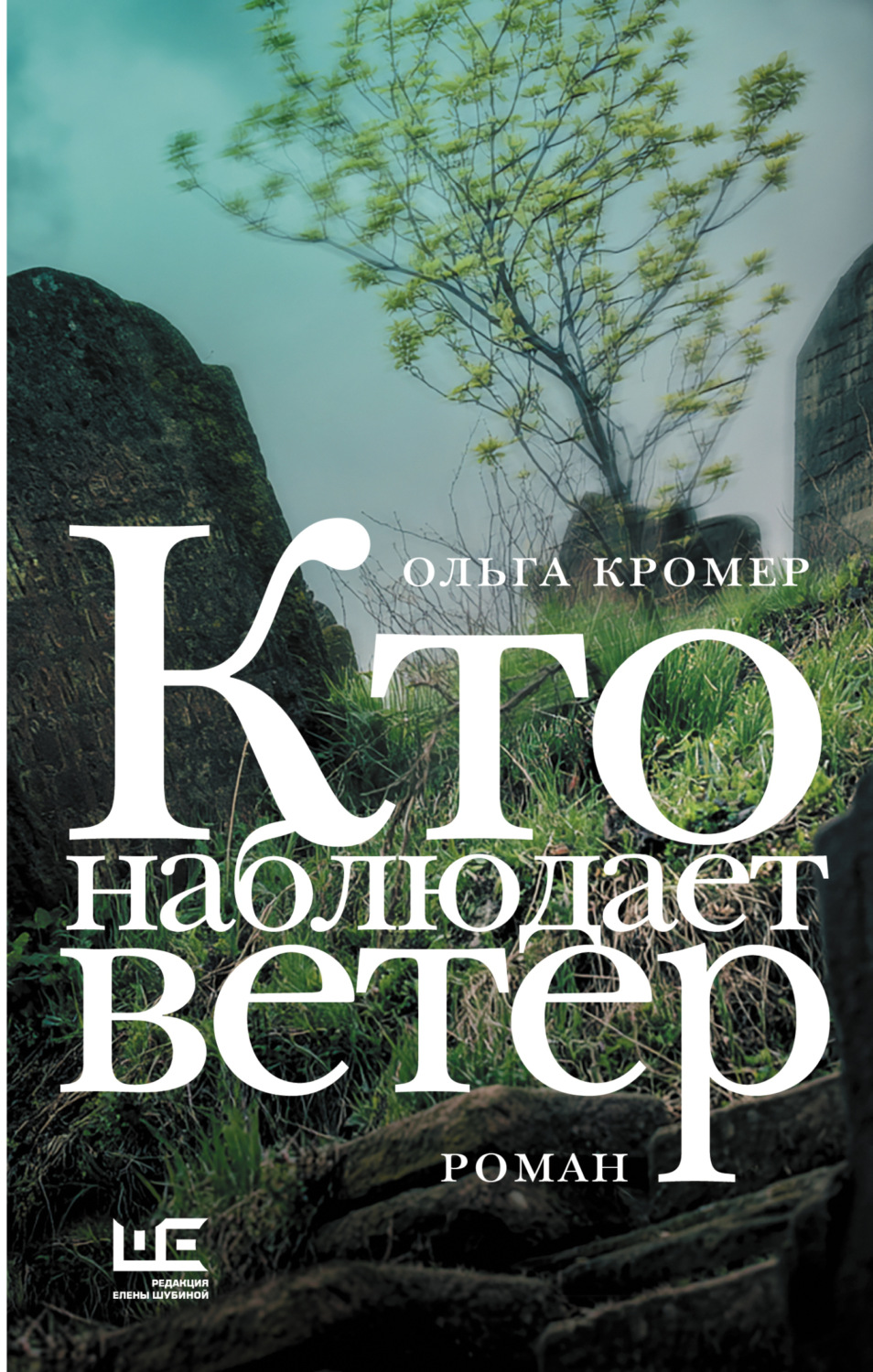 Обложка книги «Кто наблюдает ветер»