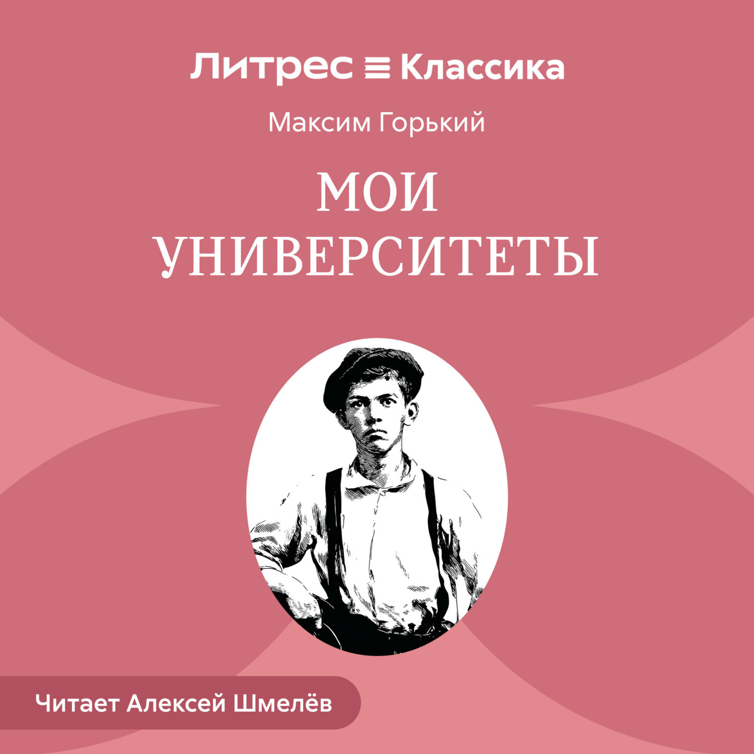 Обложка книги «Мои университеты»