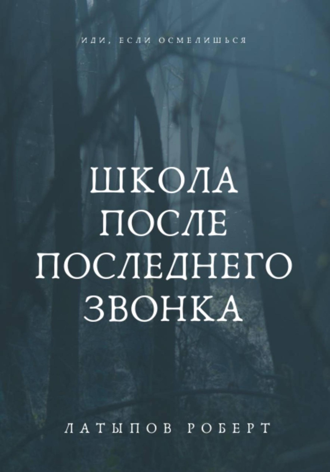 Обложка книги «Школа После Последнего Звонка»