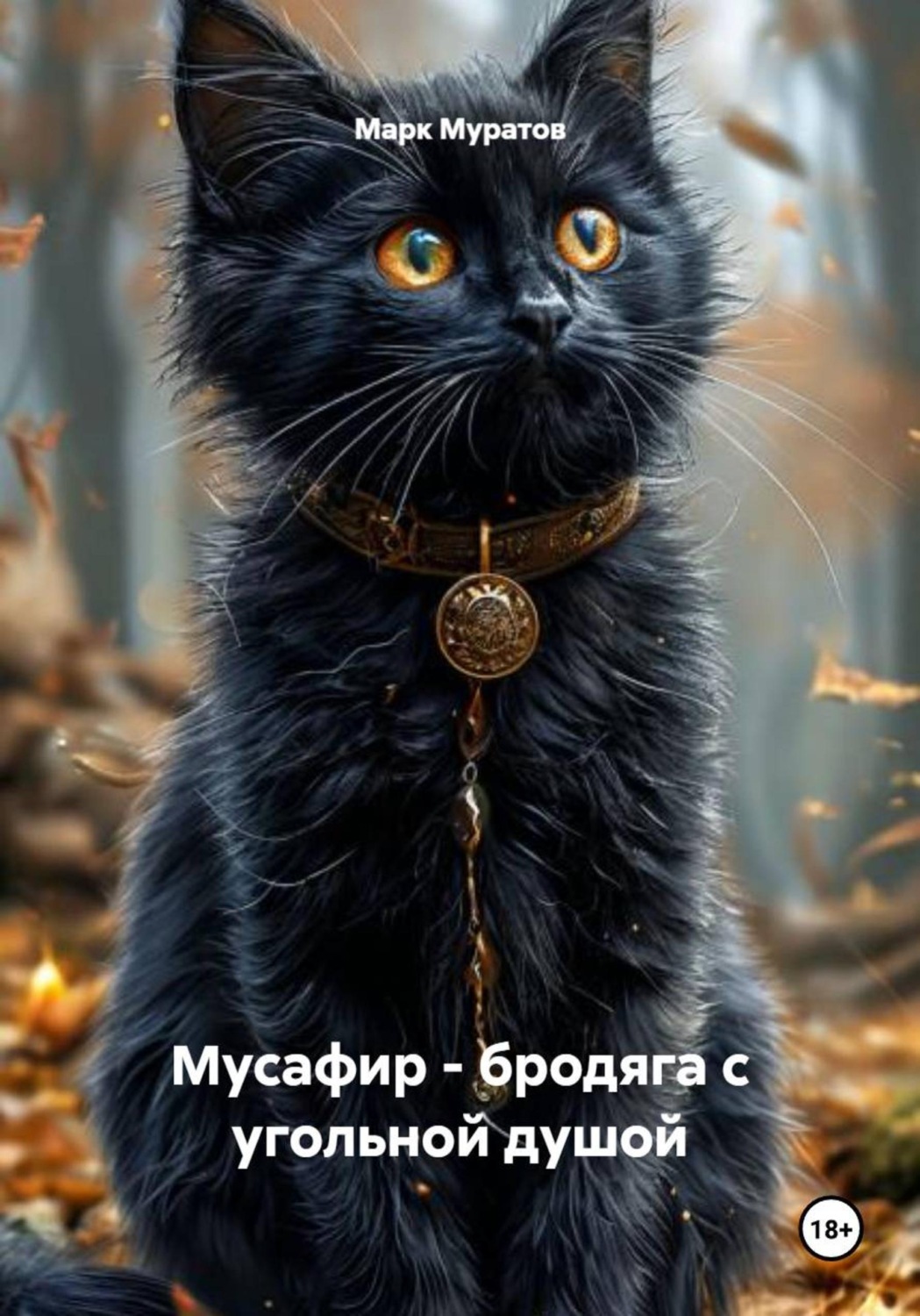 Обложка книги «Мусафир – бродяга с угольной душой»