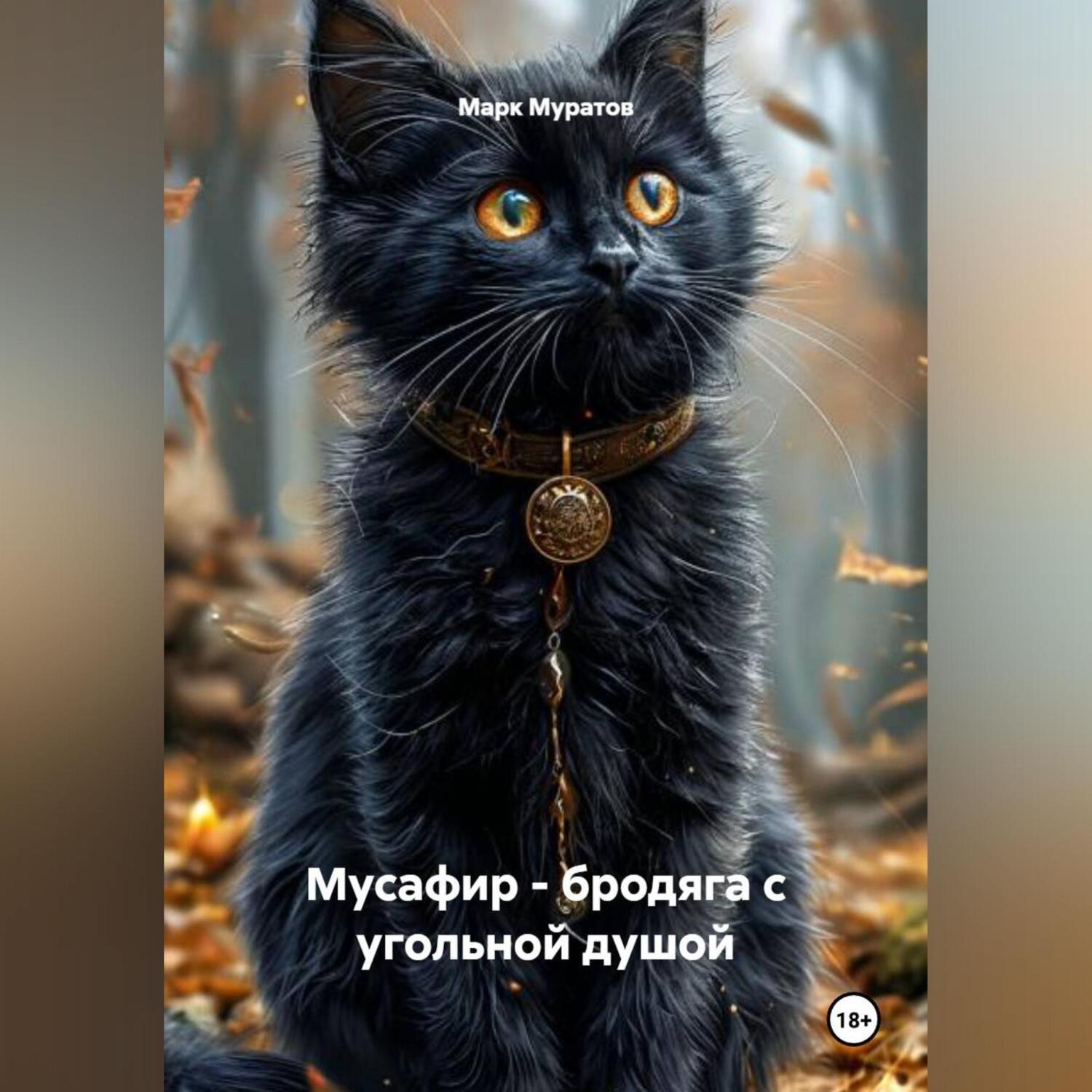 Обложка книги «Мусафир – бродяга с угольной душой»