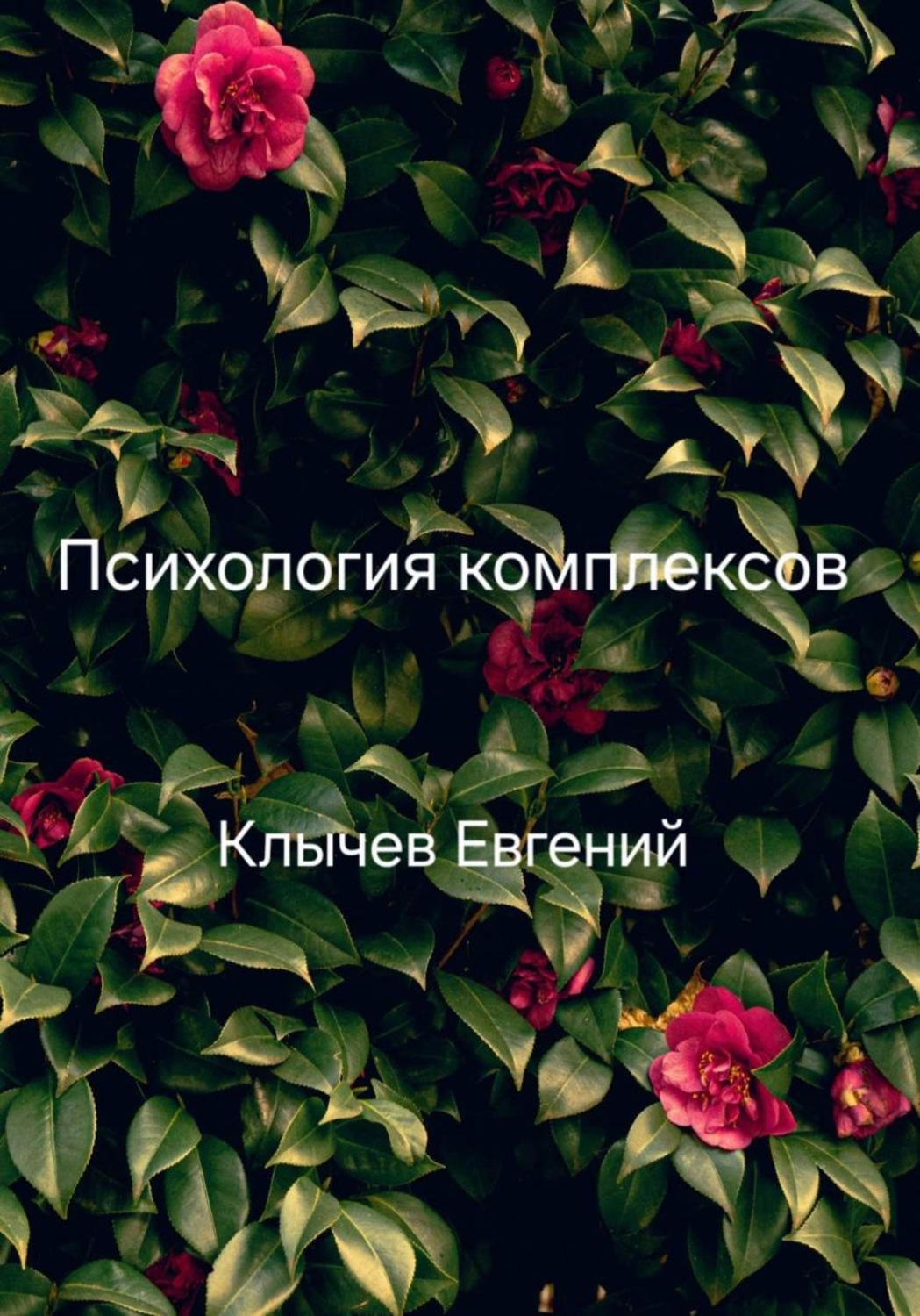 Обложка книги «Психология комплексов»