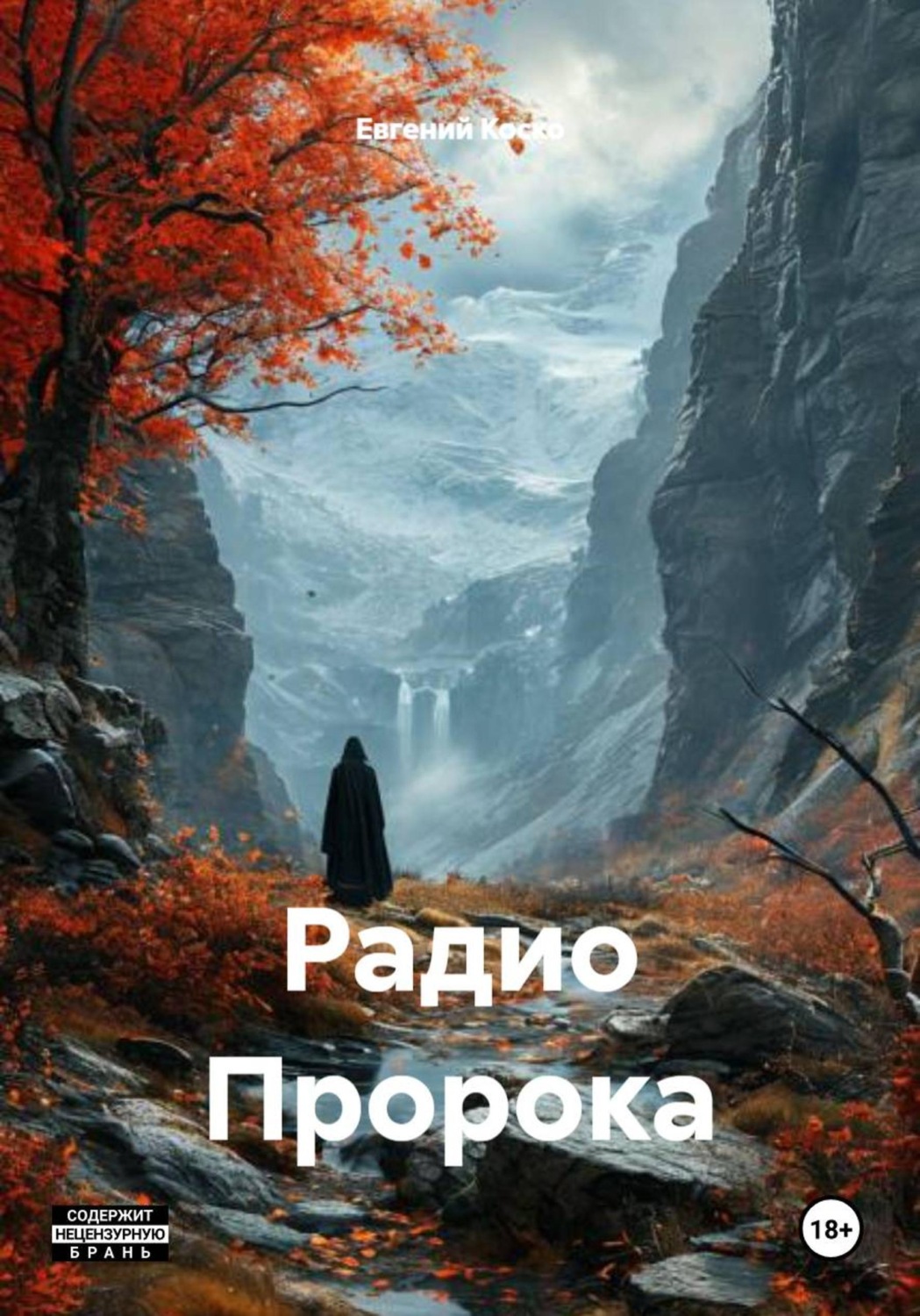 Обложка книги «Радио Пророка»