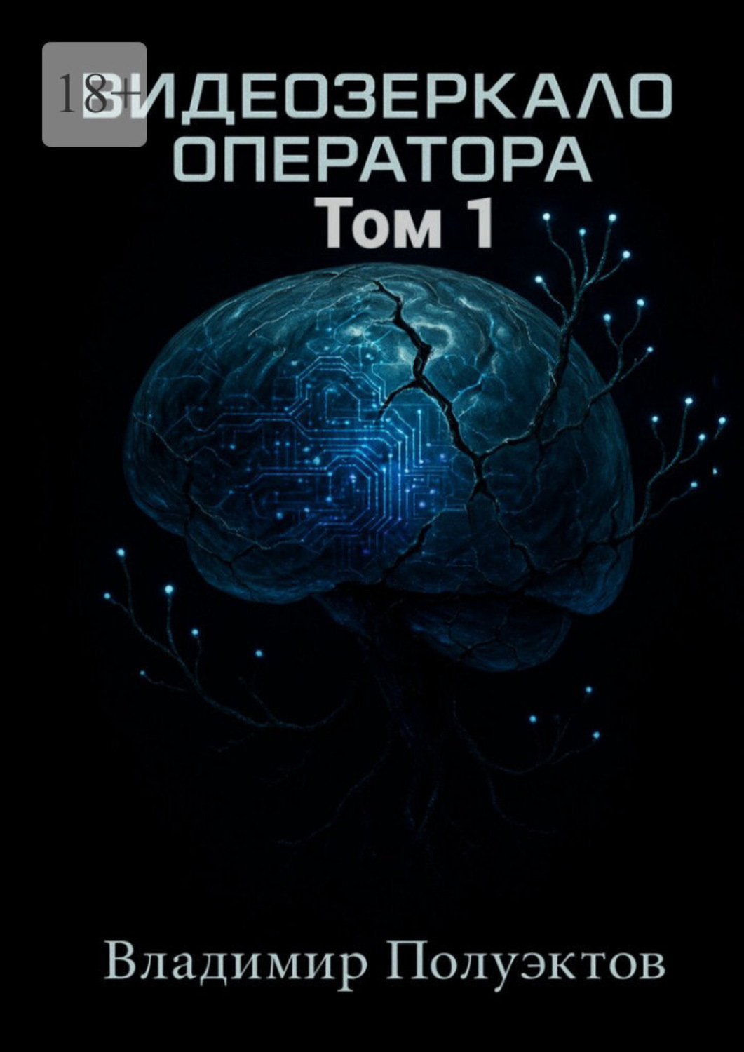 Обложка книги «Видеозеркало оператора. Том 1»