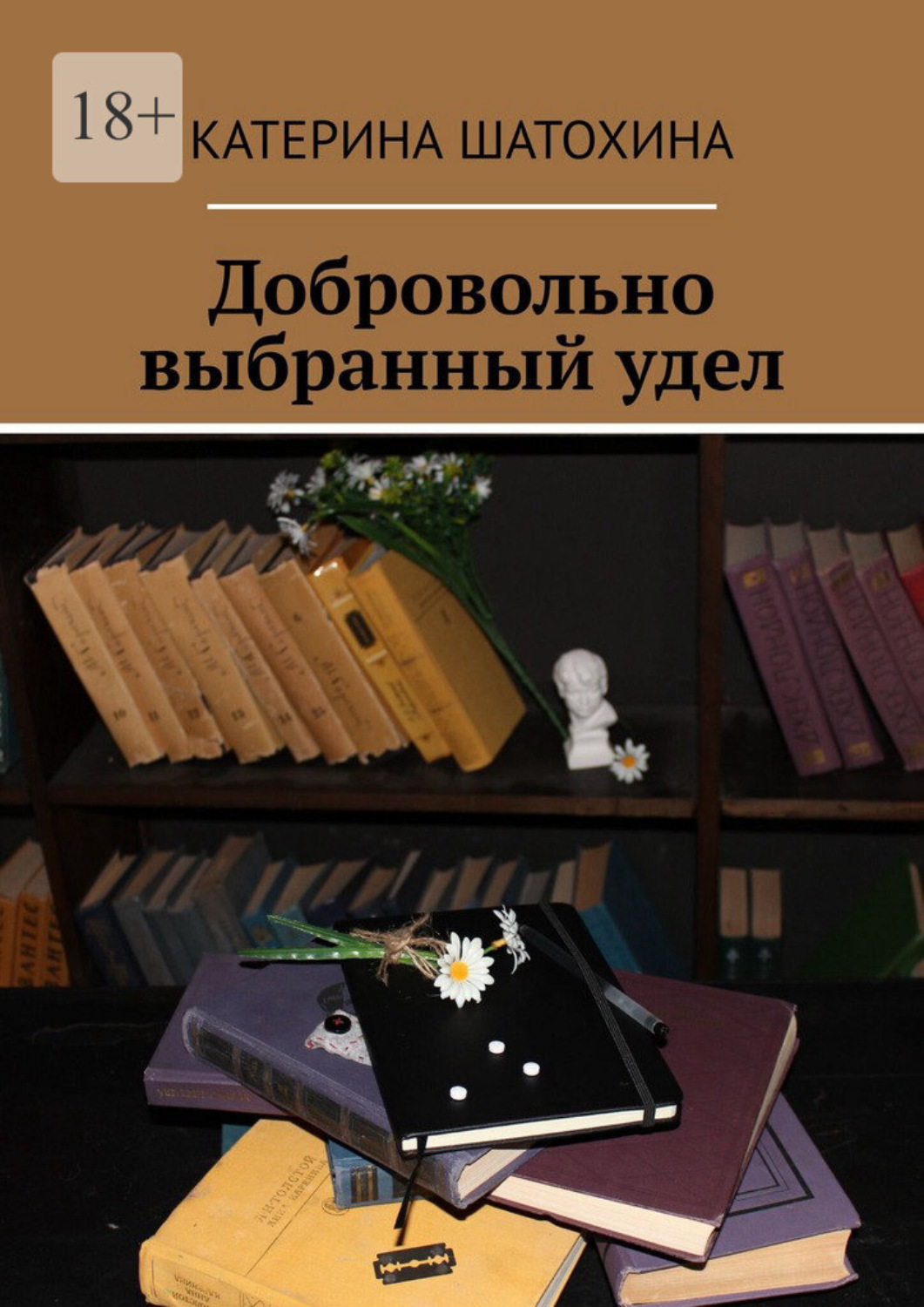 Обложка книги «Добровольно выбранный удел»