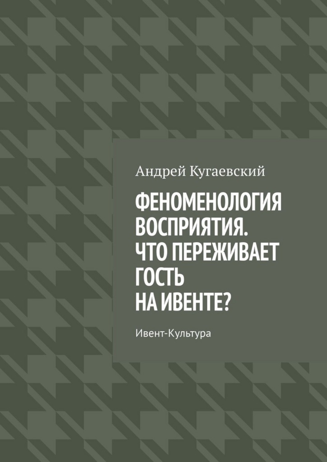 Обложка книги «Феноменология восприятия. Что переживает гость на ивенте? Ивент-культура»