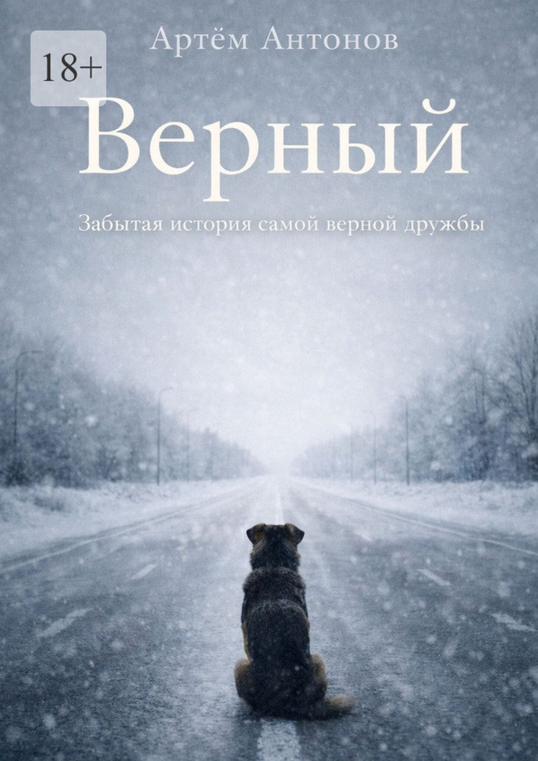 Обложка книги «Верный»