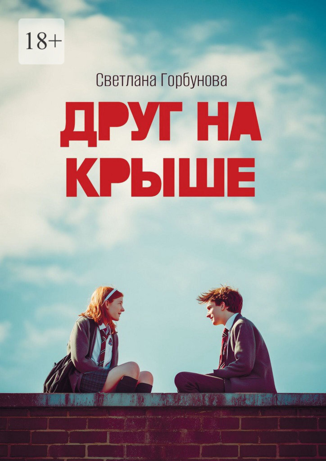 Обложка книги «Друг на крыше»
