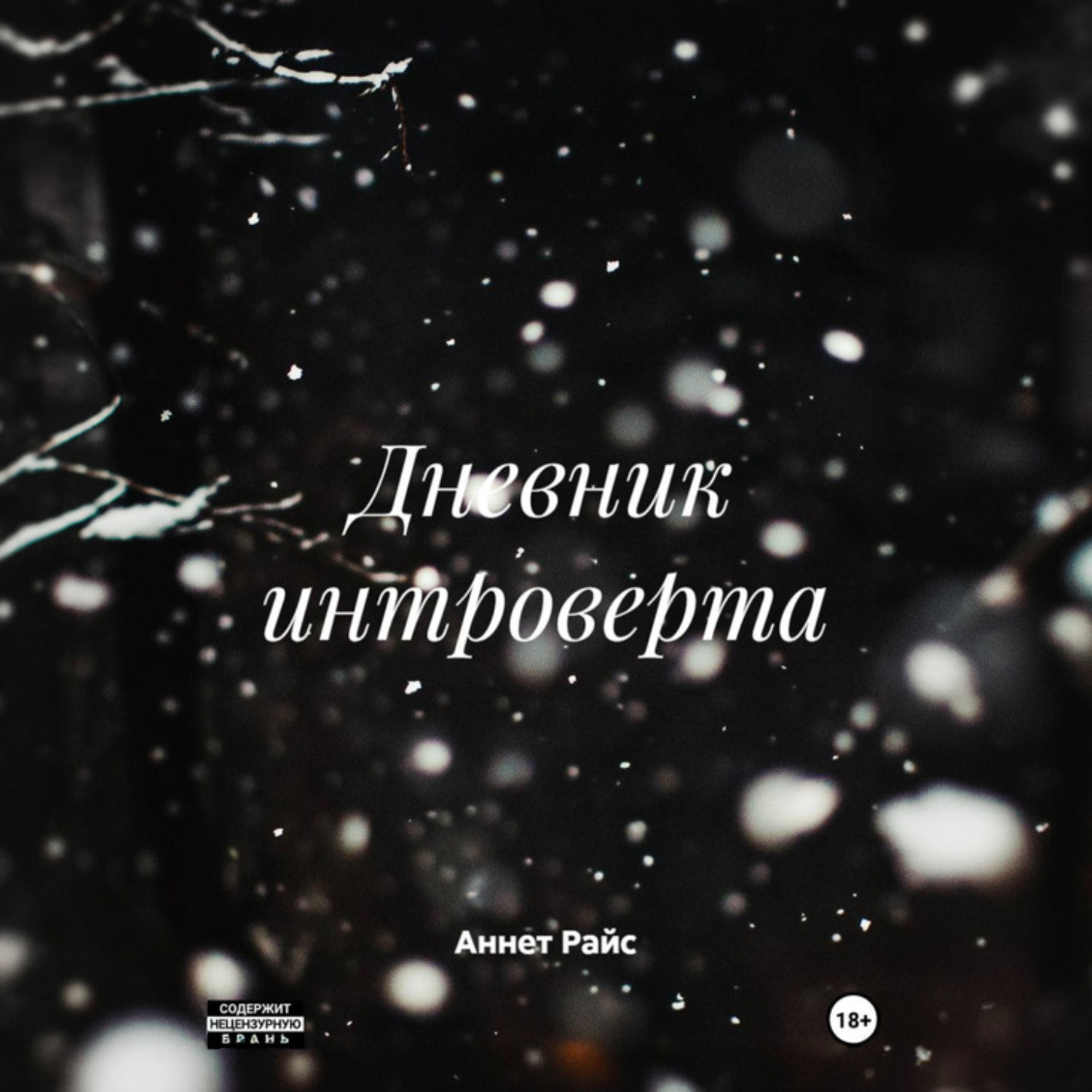 Обложка книги «Дневник интроверта»