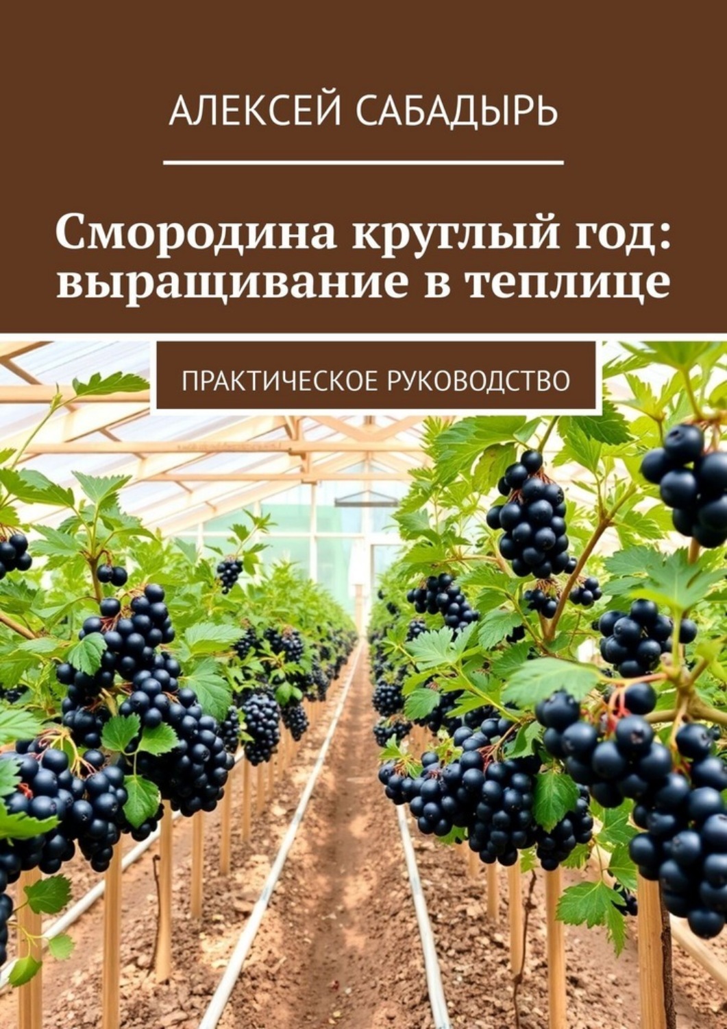 Обложка книги «Смородина круглый год: выращивание в теплице. Практическое руководство»
