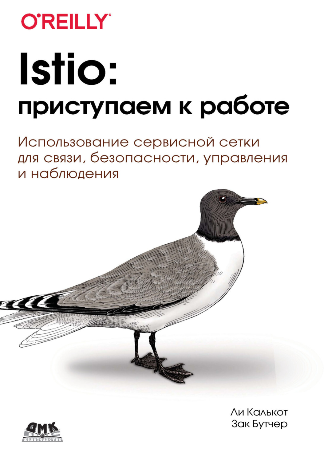 Обложка книги «Istio: приступаем к работе. Использование сервисной сетки для связи, безопасности, управления и наблюдения»