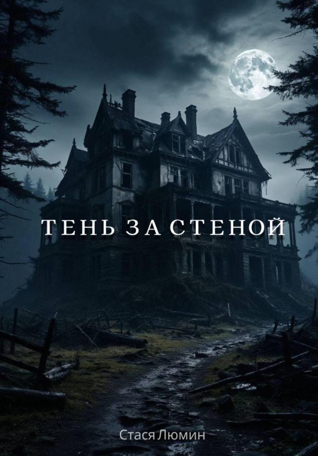 Обложка книги «Тень за стеной»