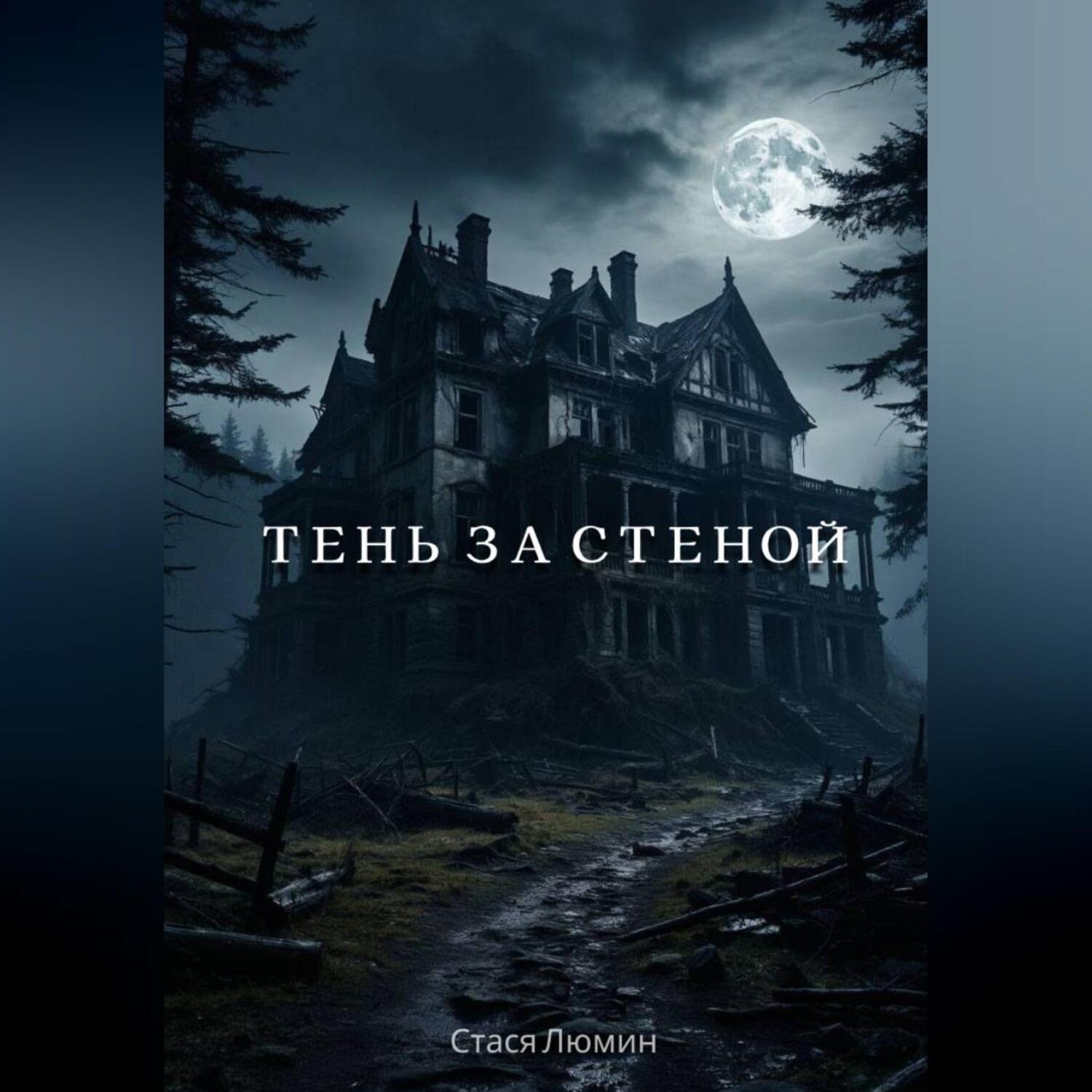 Обложка книги «Тень за стеной»