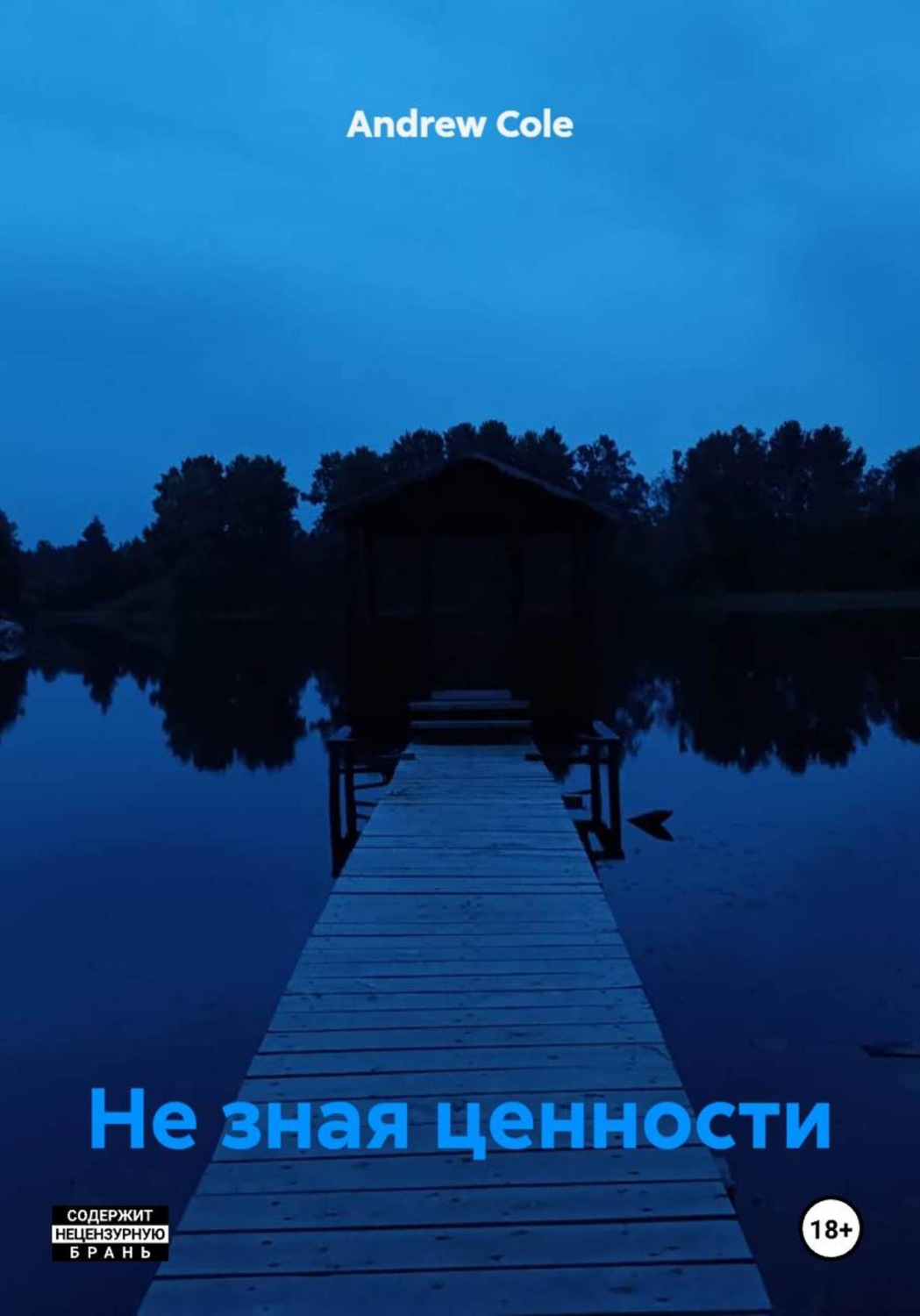 Обложка книги «Не зная ценности»