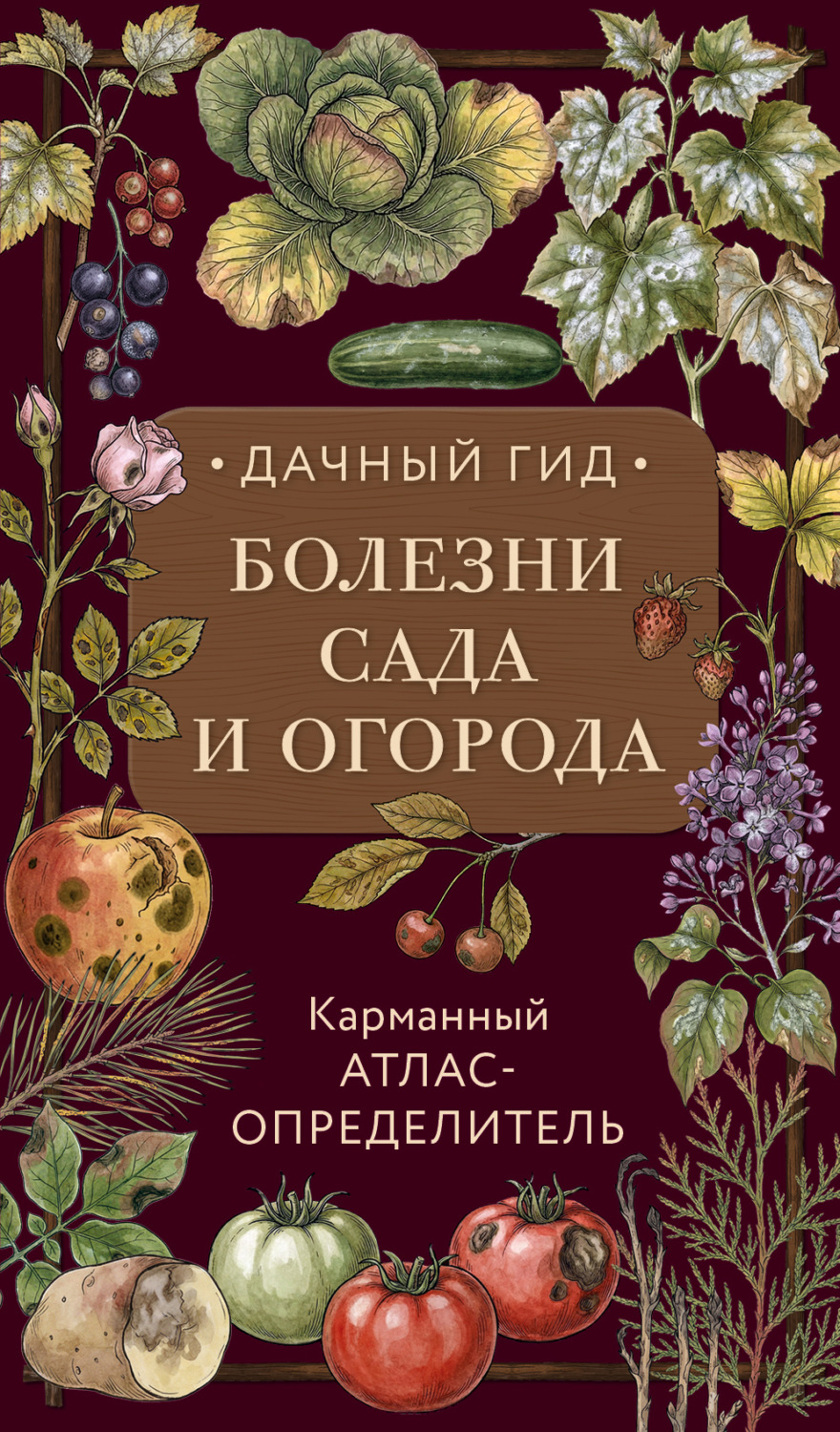 Обложка книги «Болезни сада и огорода»